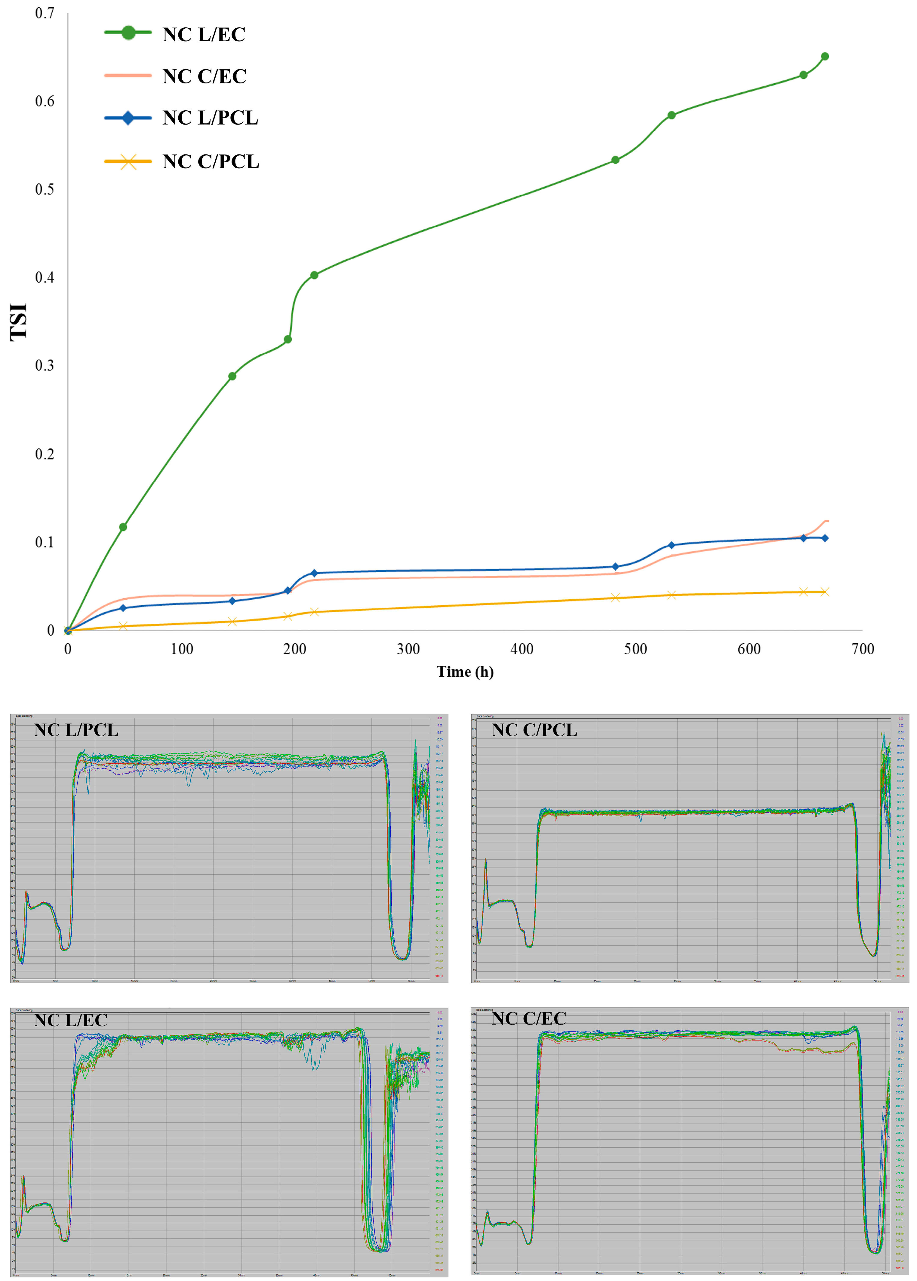 Polymers 15 03515 g002