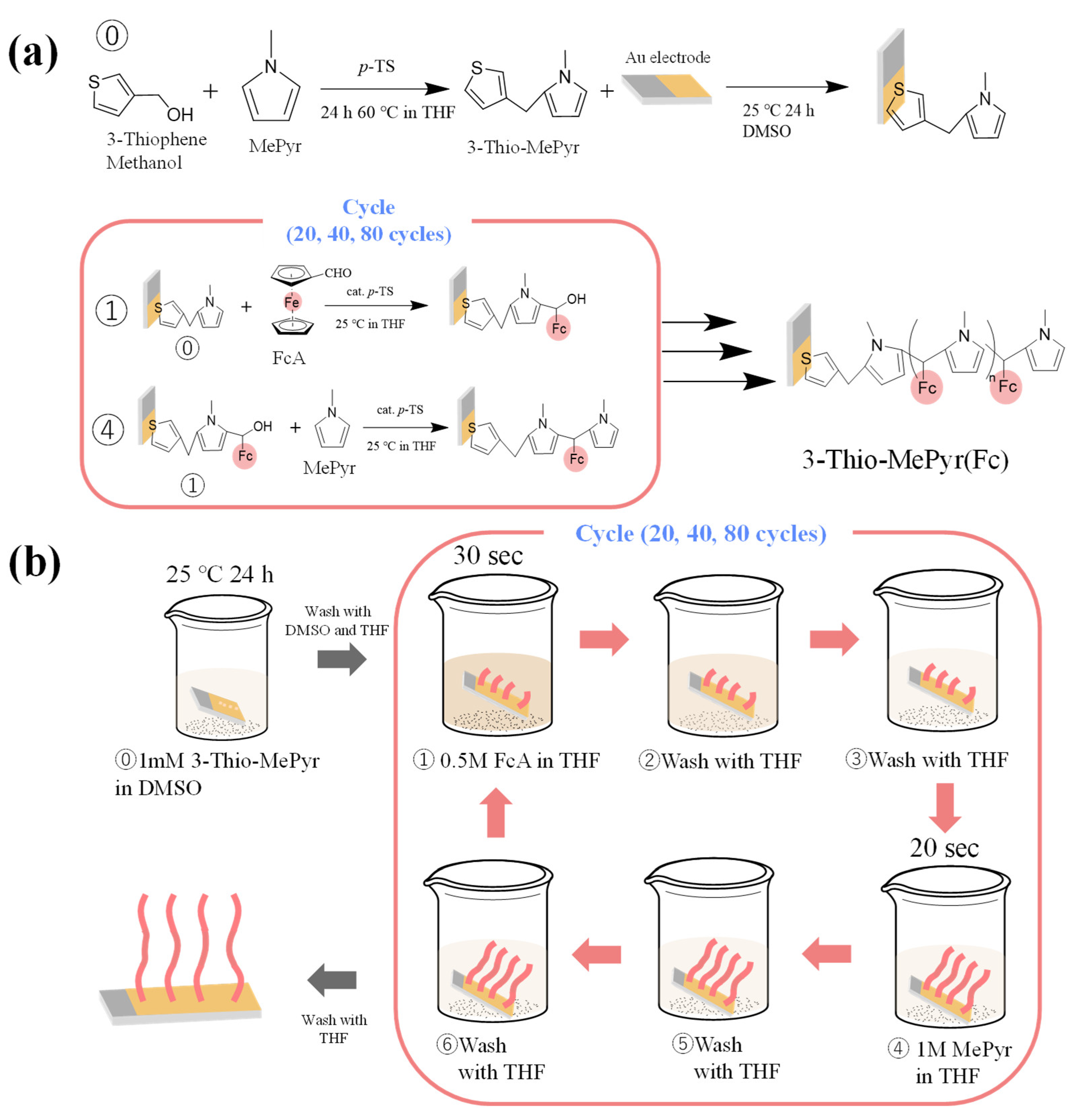 Polymers 15 03517 g002 Polymers 15 03517 g002