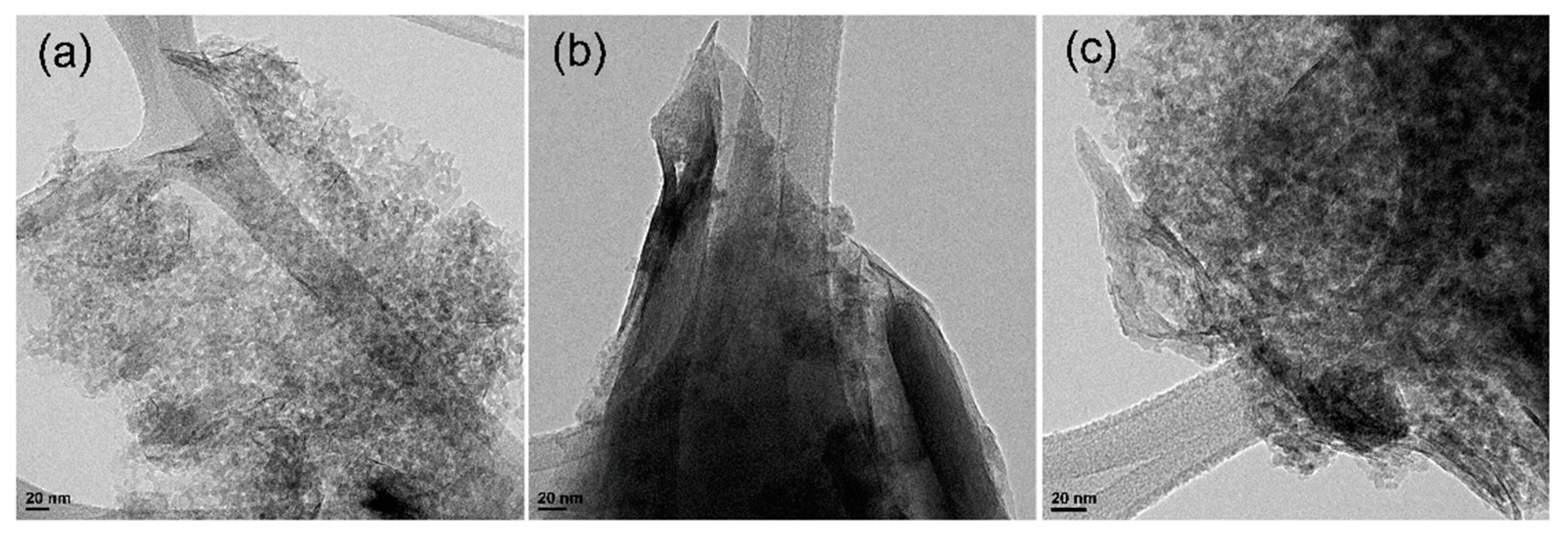 Polymers 15 03518 g005