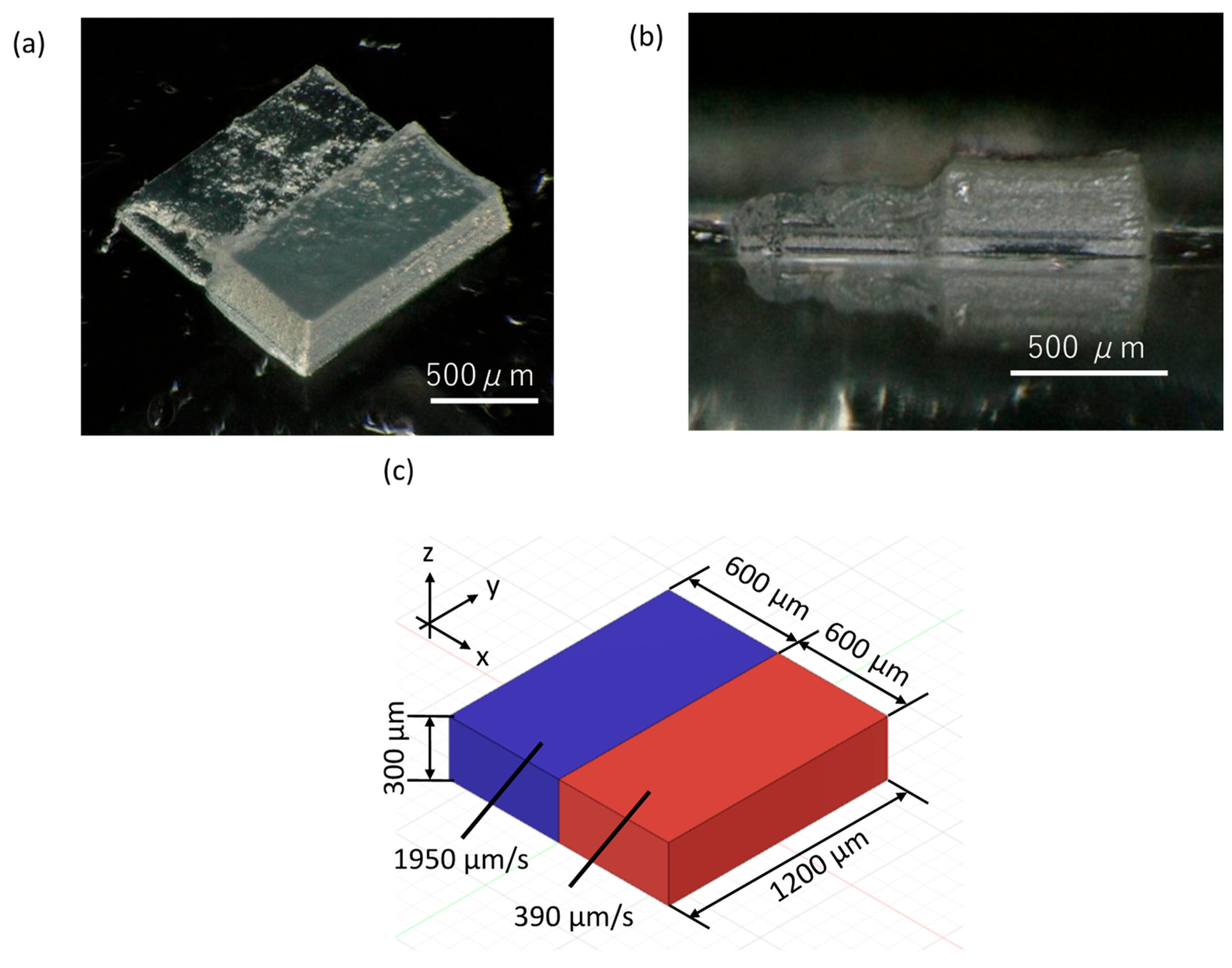 Polymers 15 03519 g007