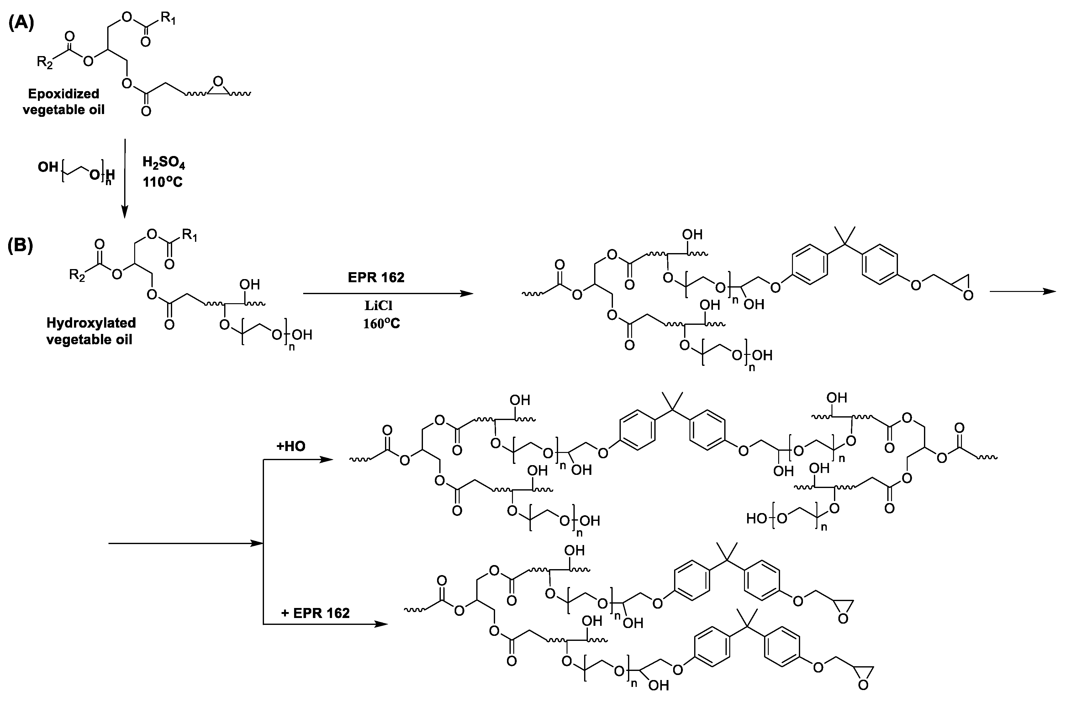 Polymers 15 03521 g001