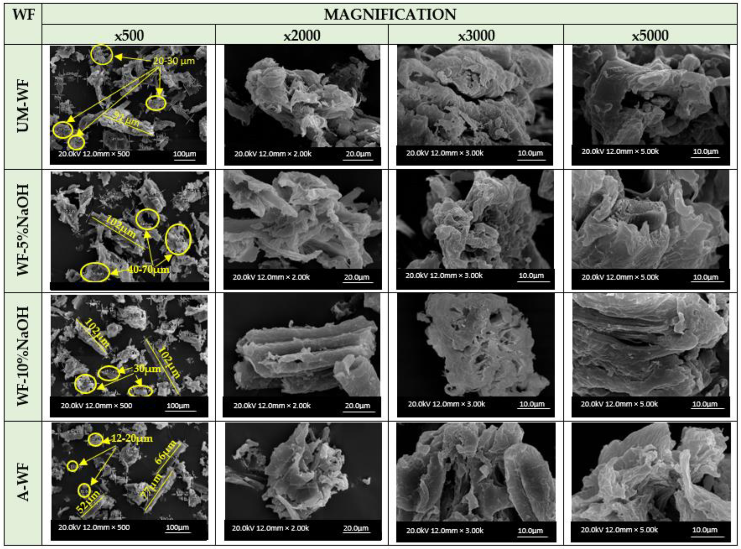 Polymers 15 03521 g006