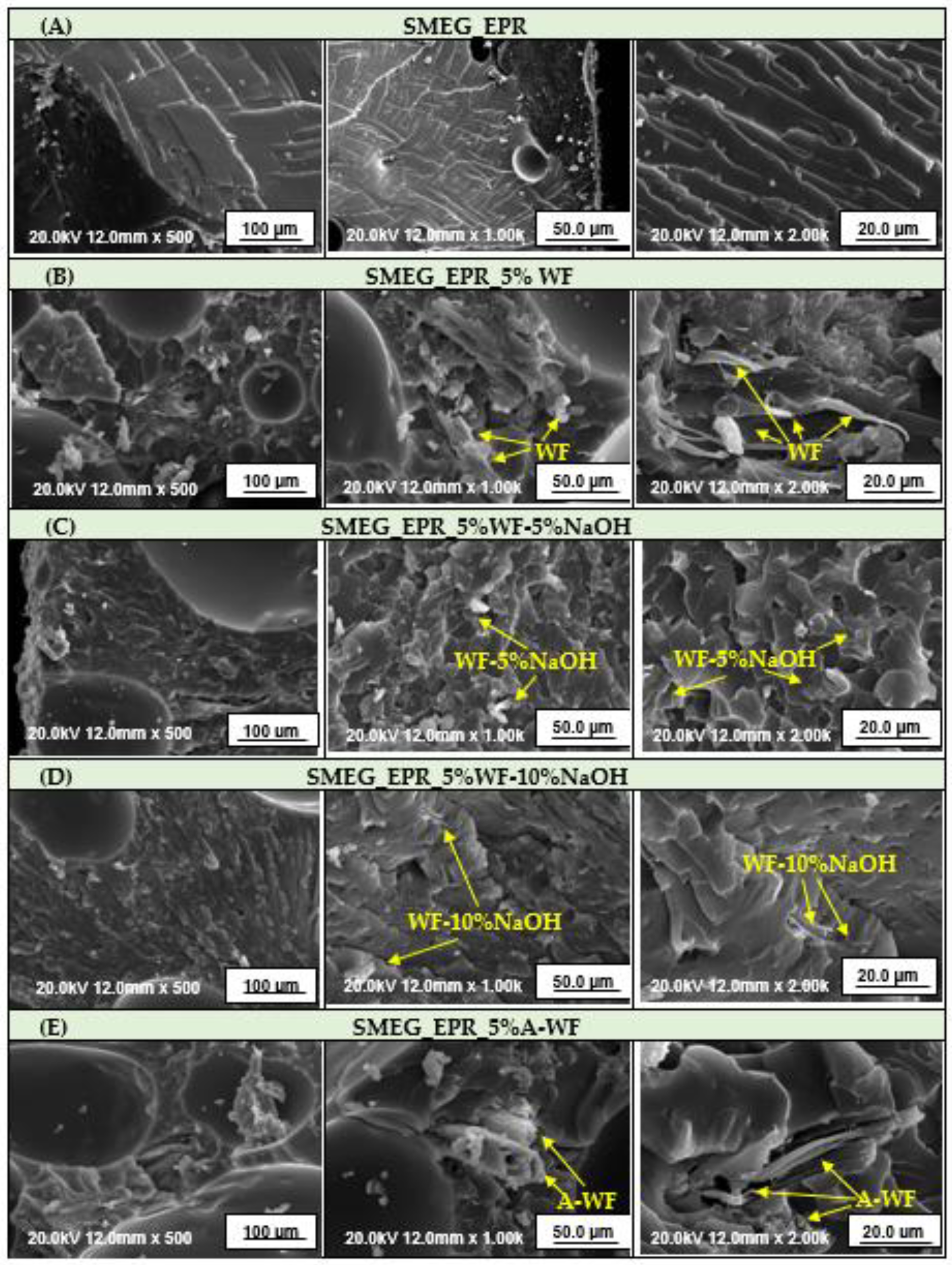 Polymers 15 03521 g011