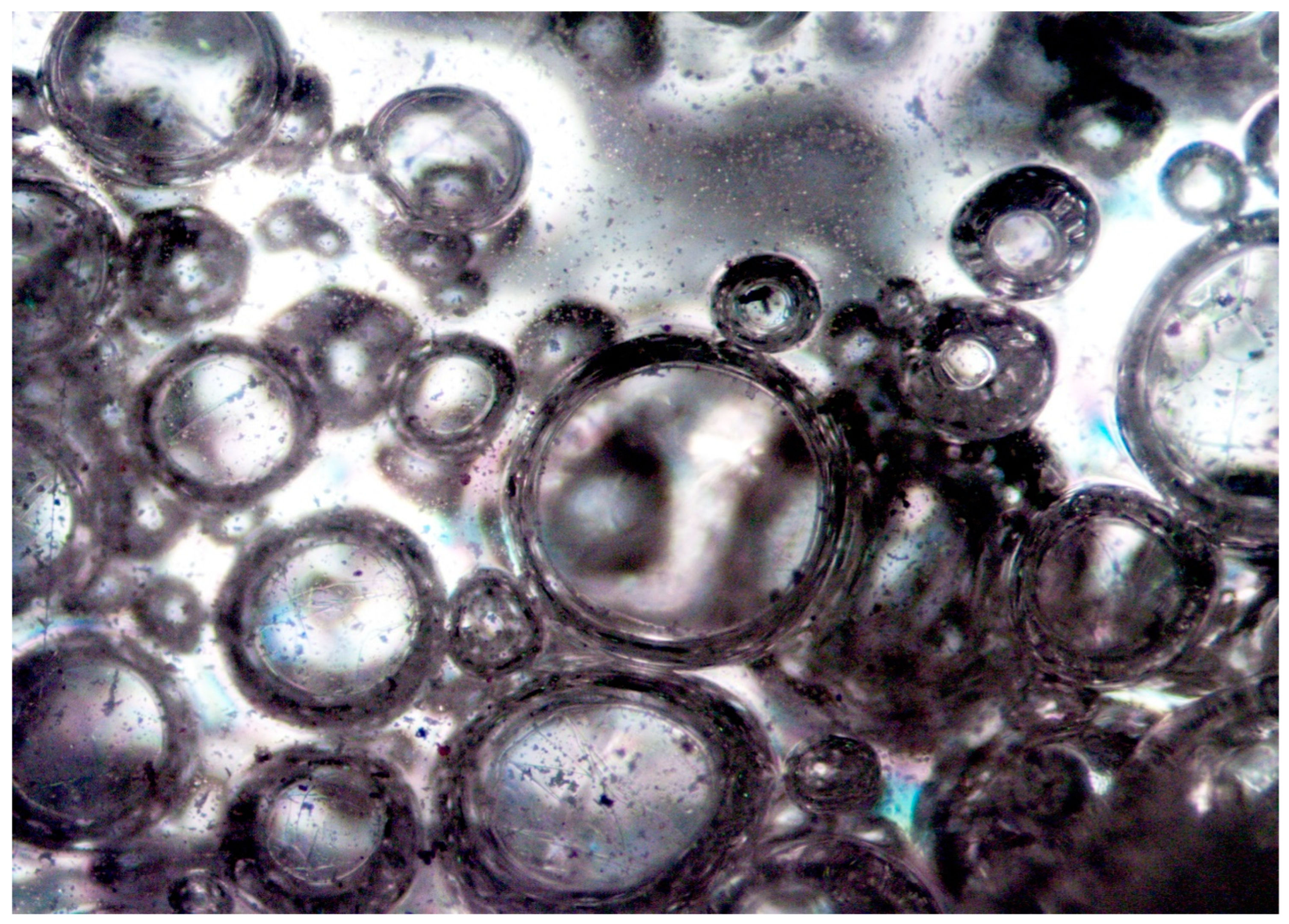 Polymers 15 03524 g006