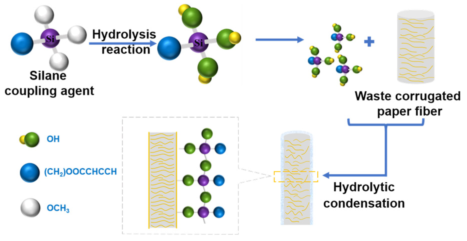 Polymers 15 03525 g005