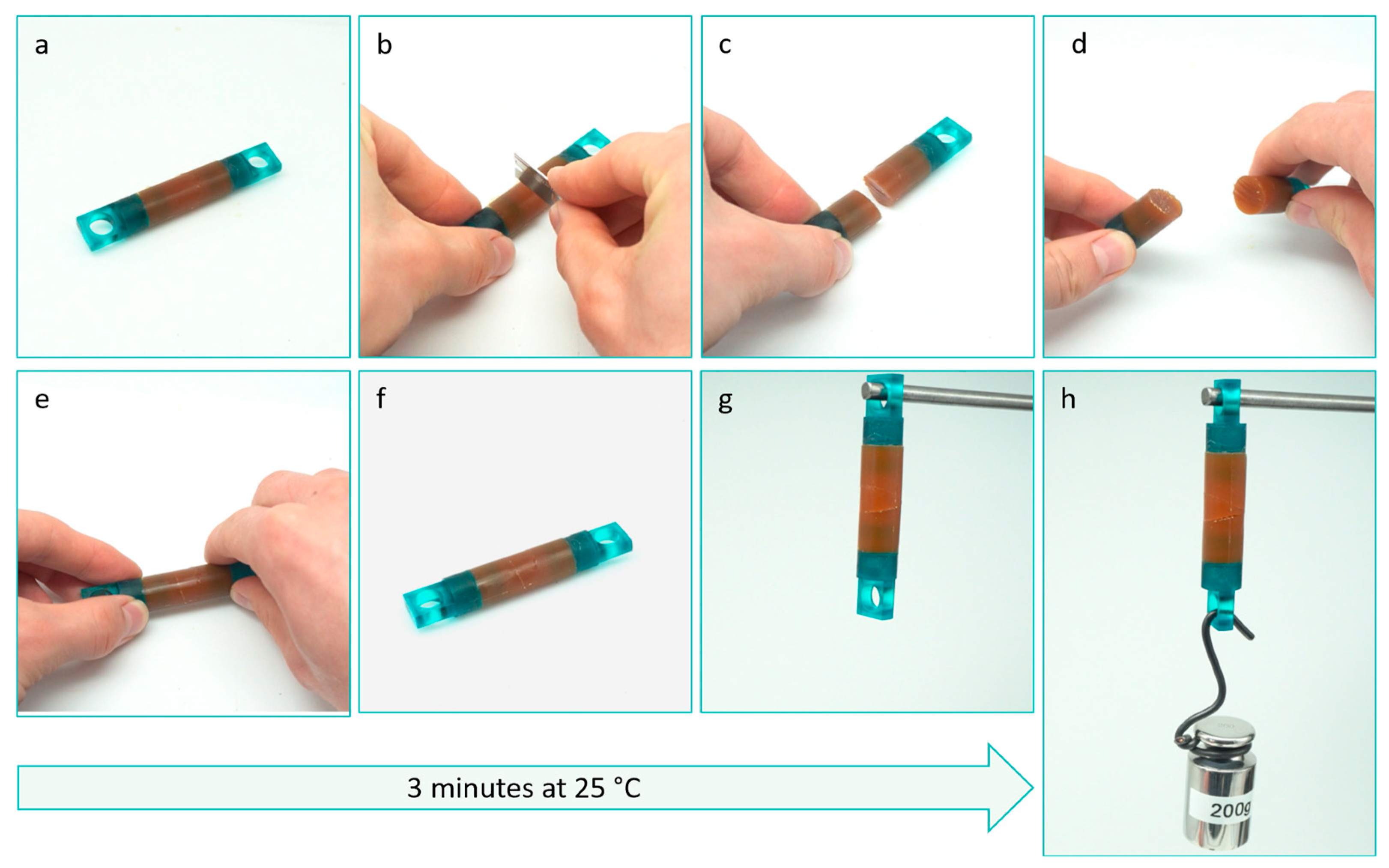 Polymers 15 03527 g001