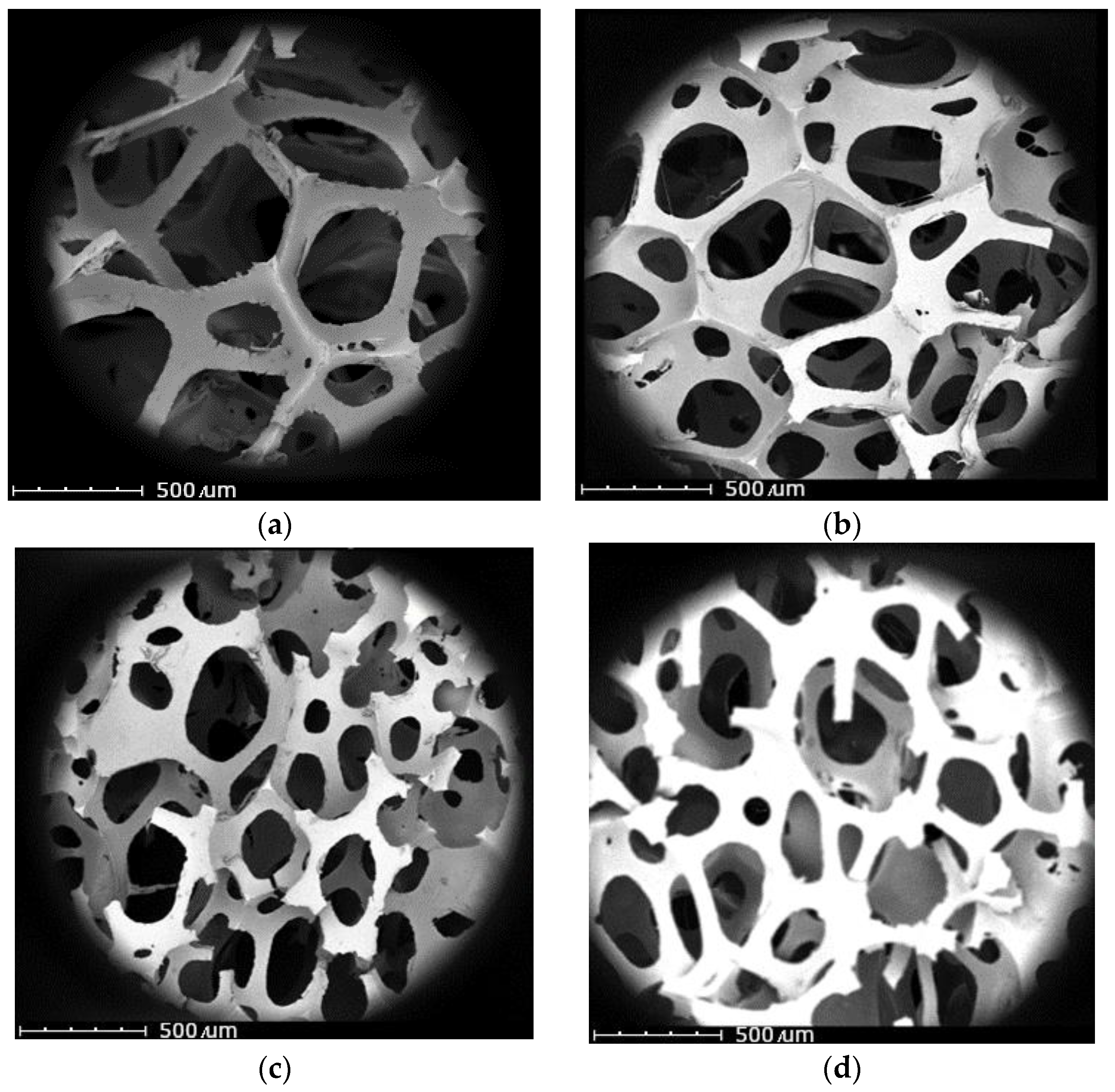 Polymers 15 03529 g003