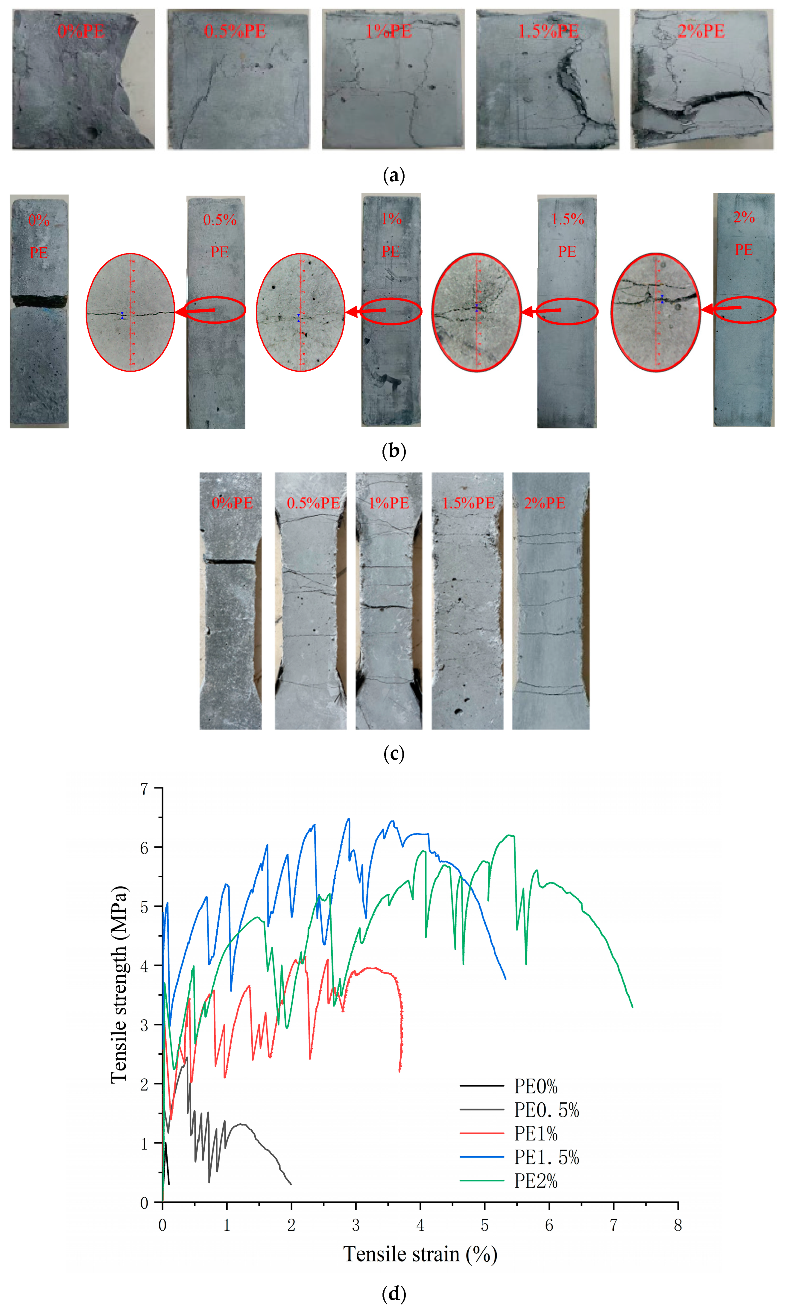 Polymers 15 03531 g005