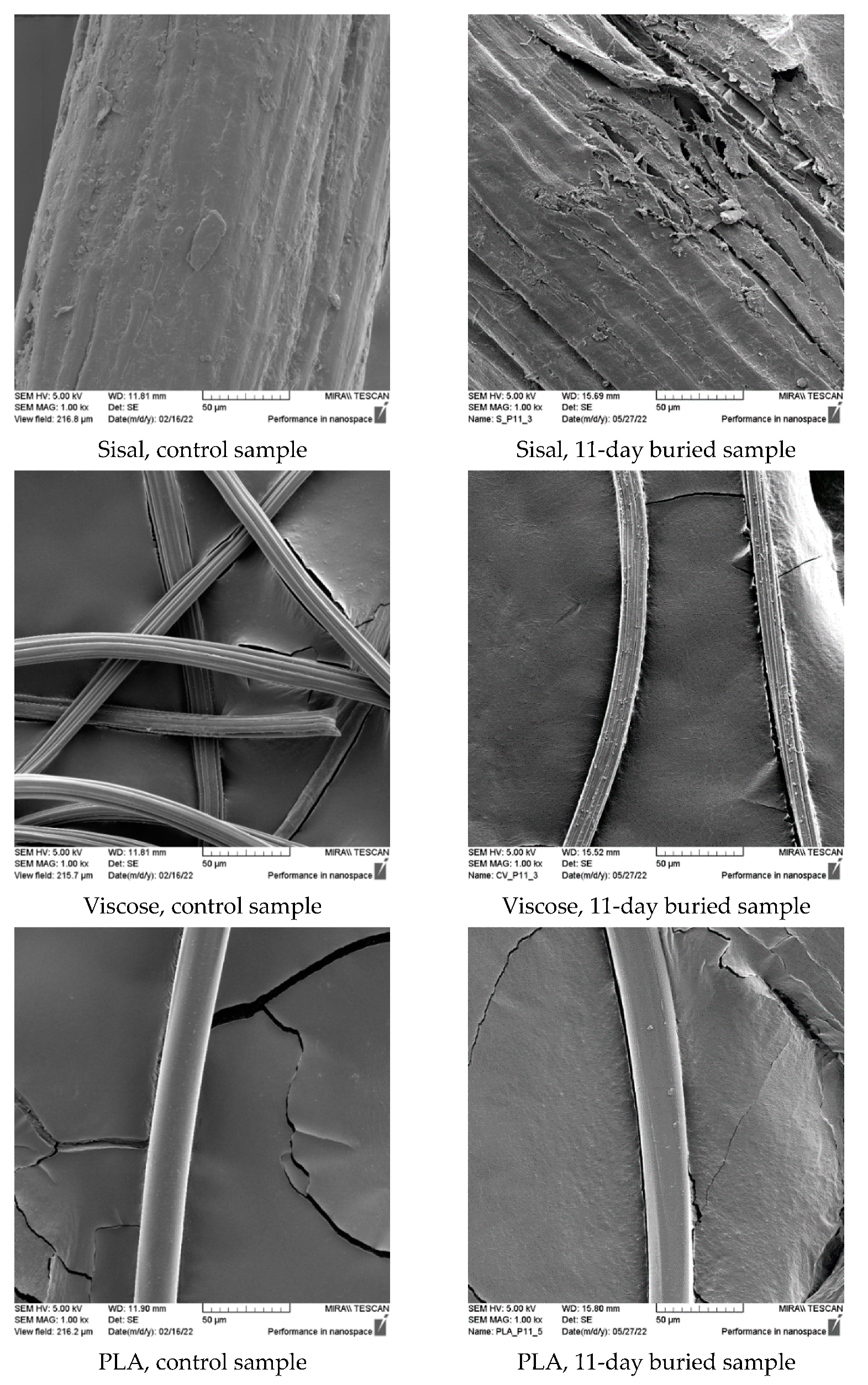 Polymers 15 03532 g003b