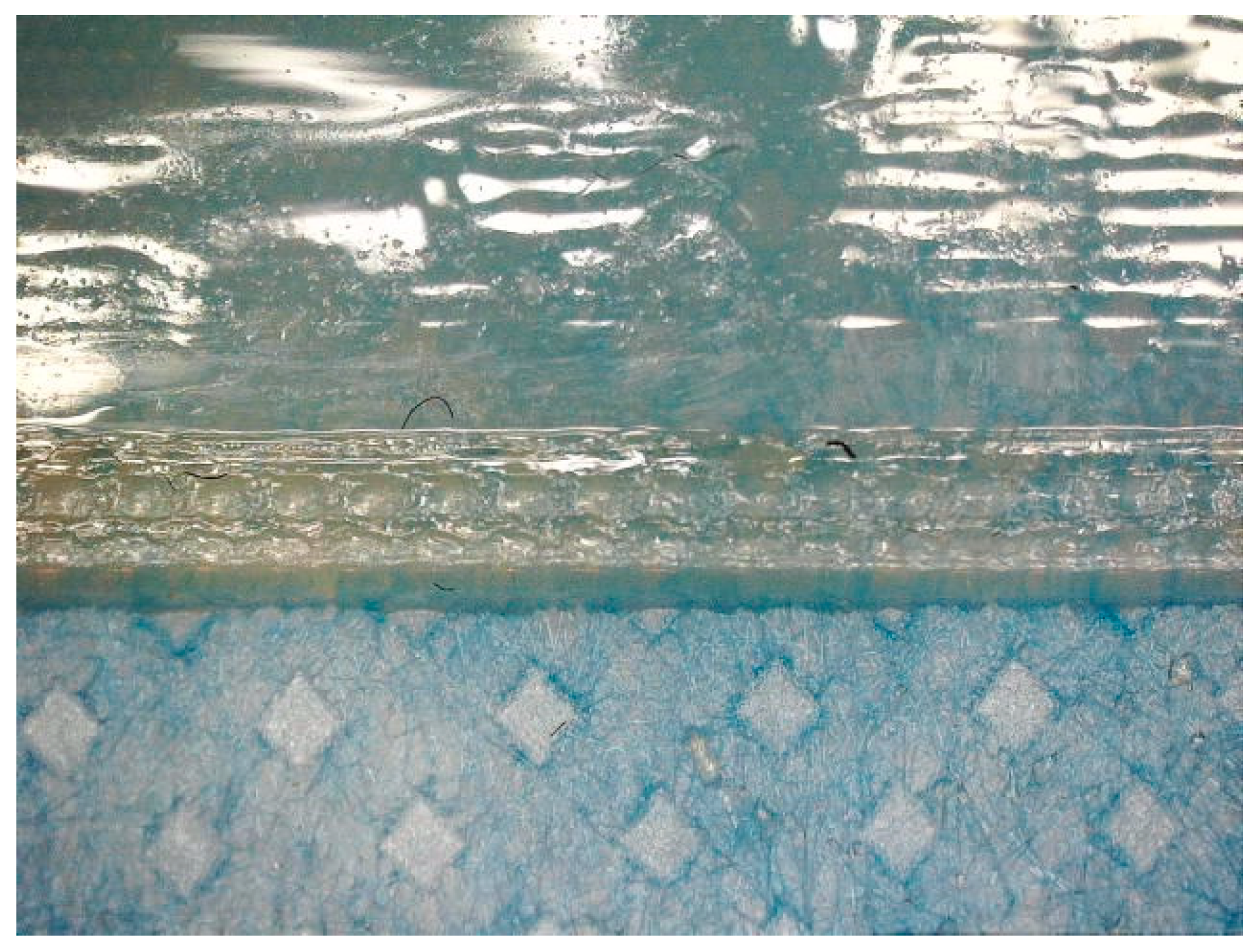 Polymers 15 03536 g003