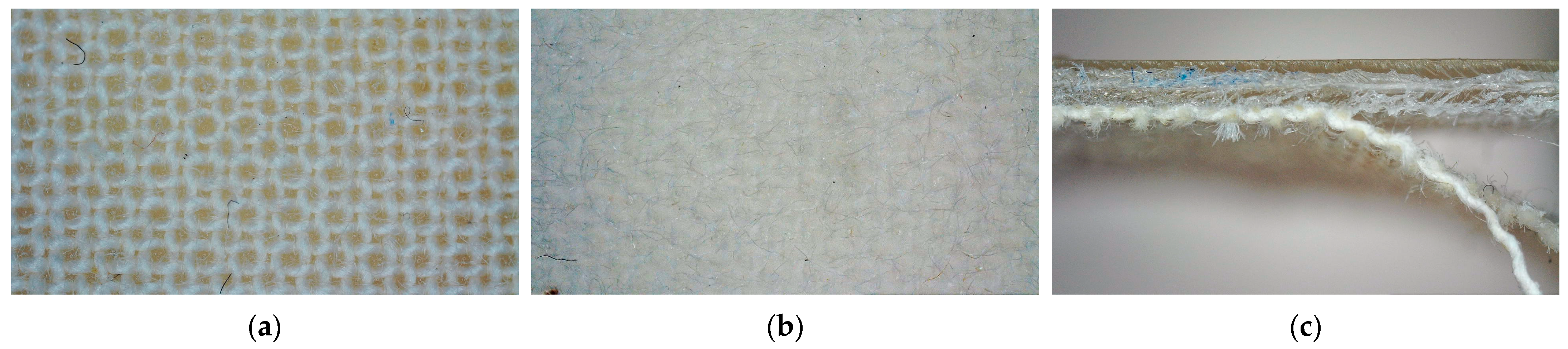 Polymers 15 03536 g006