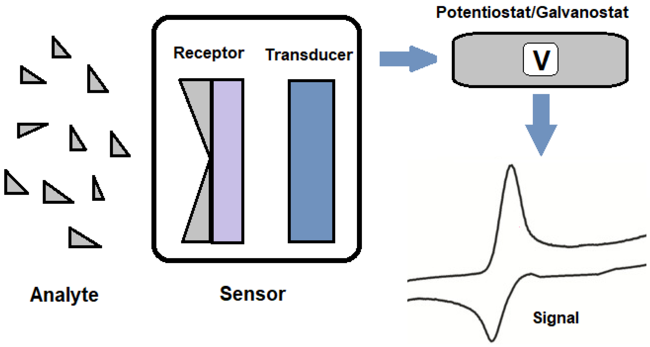 Polymers 15 03539 g002