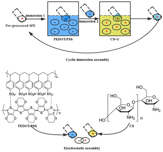 Polymers Free FullText ChitosanBased Electrochemical Sensors for