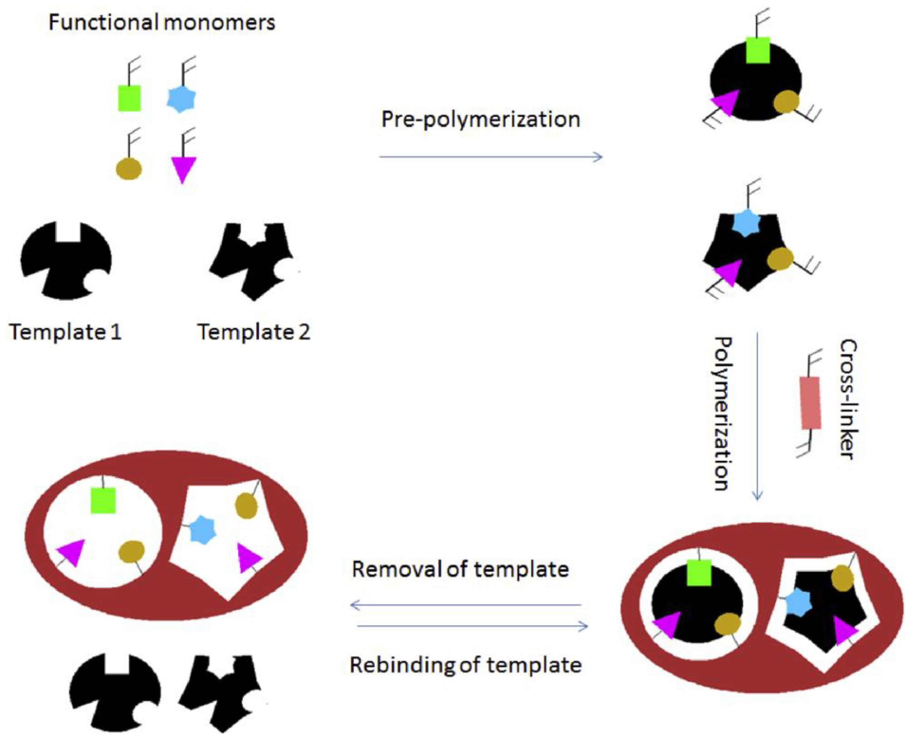 Polymers 15 03539 g007