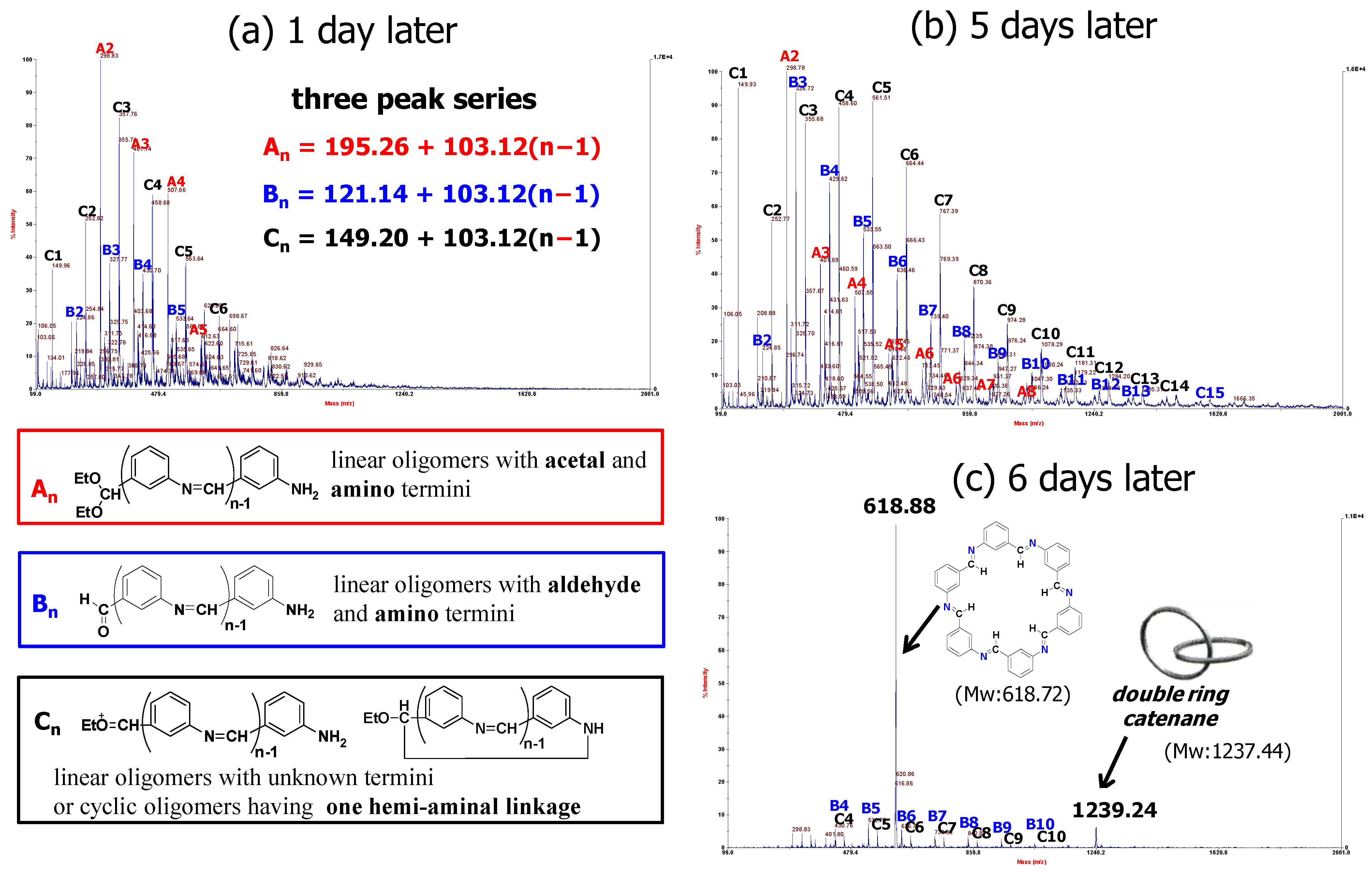 Polymers 15 03542 g001