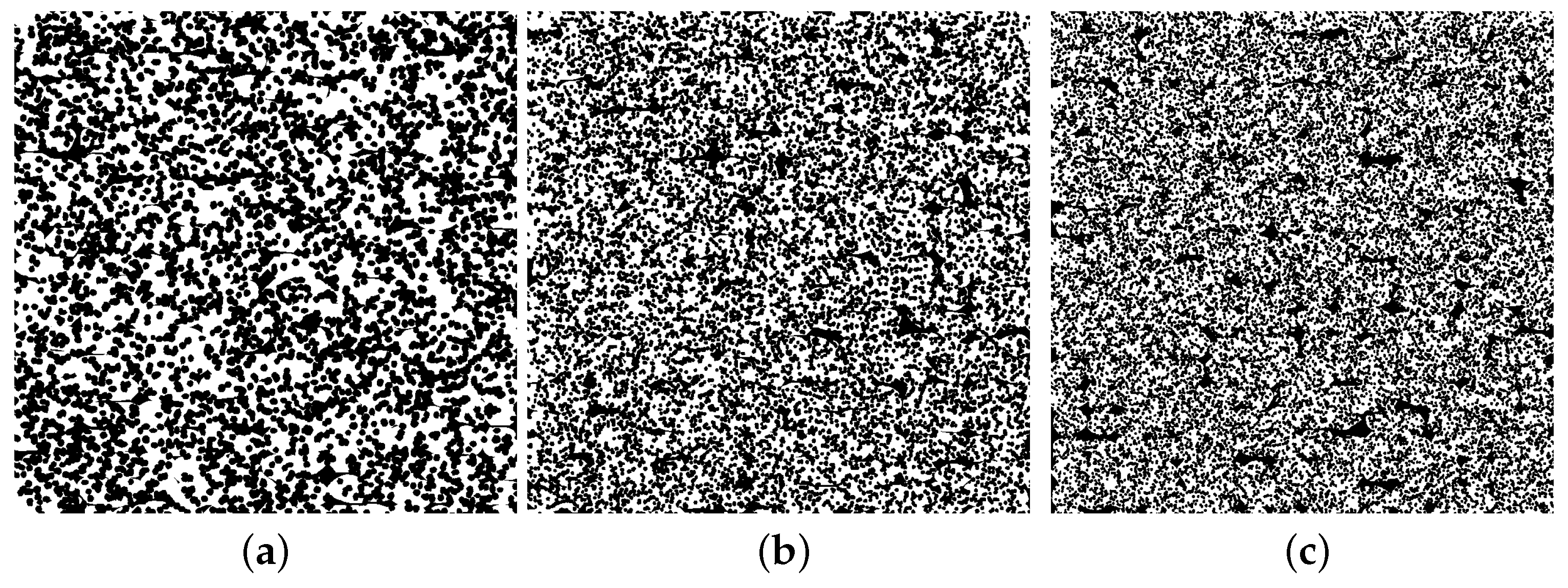Polymers 15 03544 g010