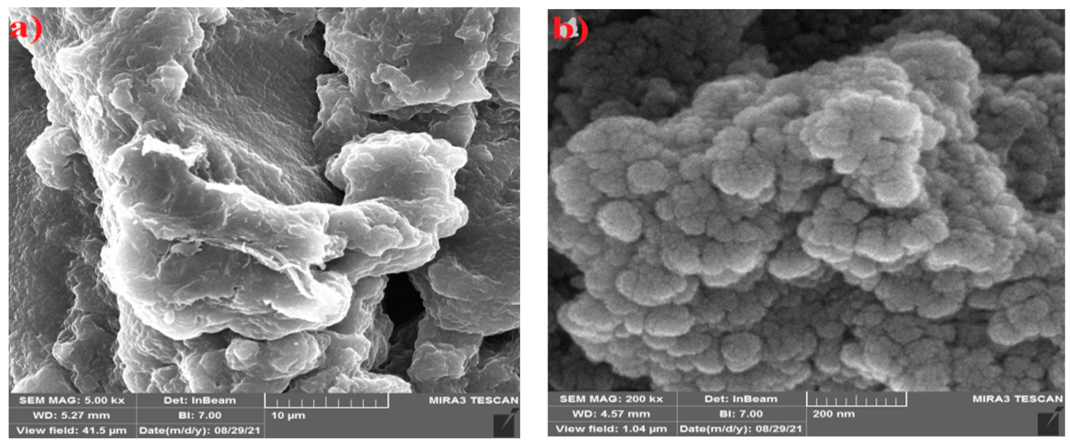 Polymers 15 03545 g006