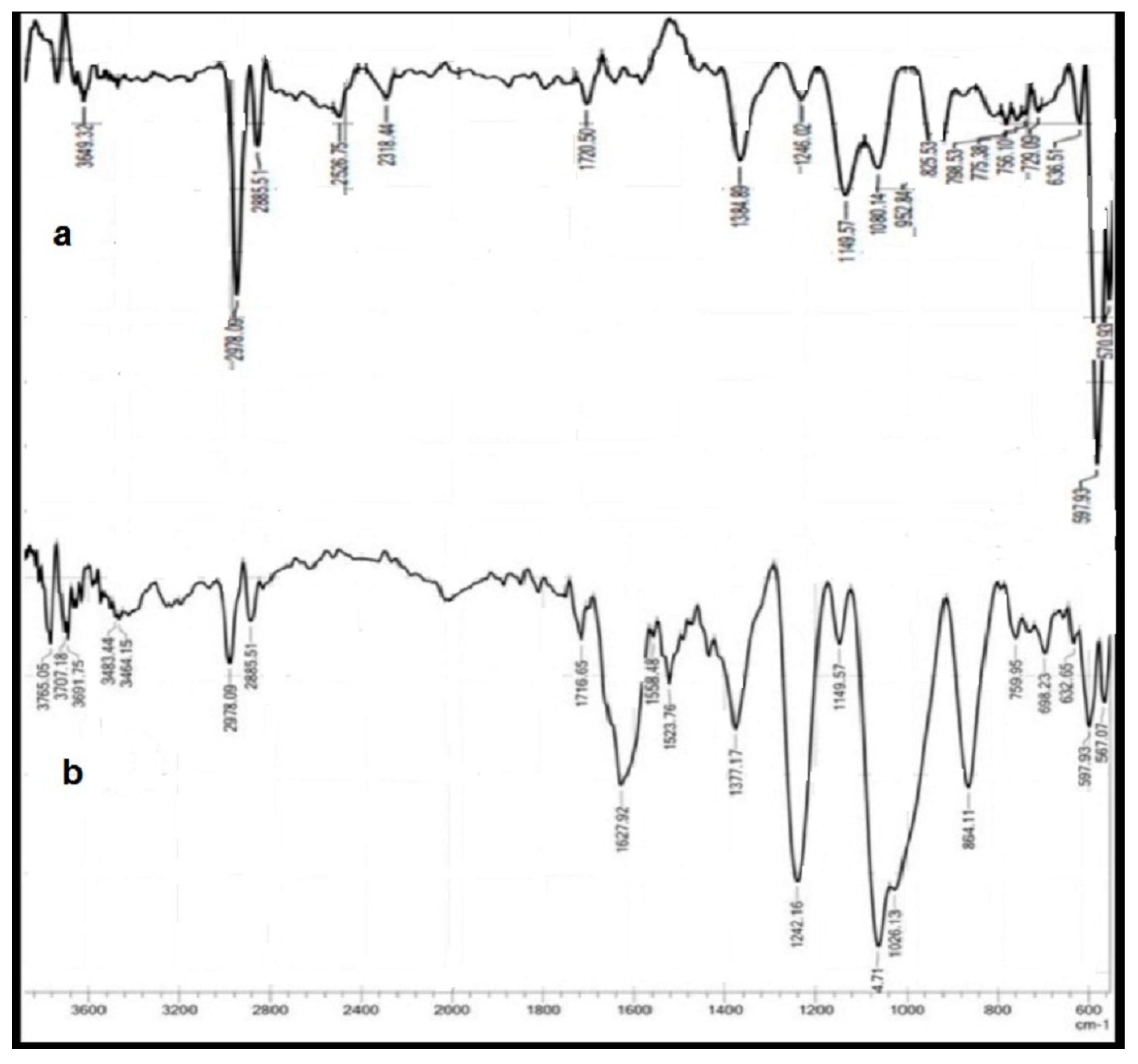 Polymers 15 03545 g009