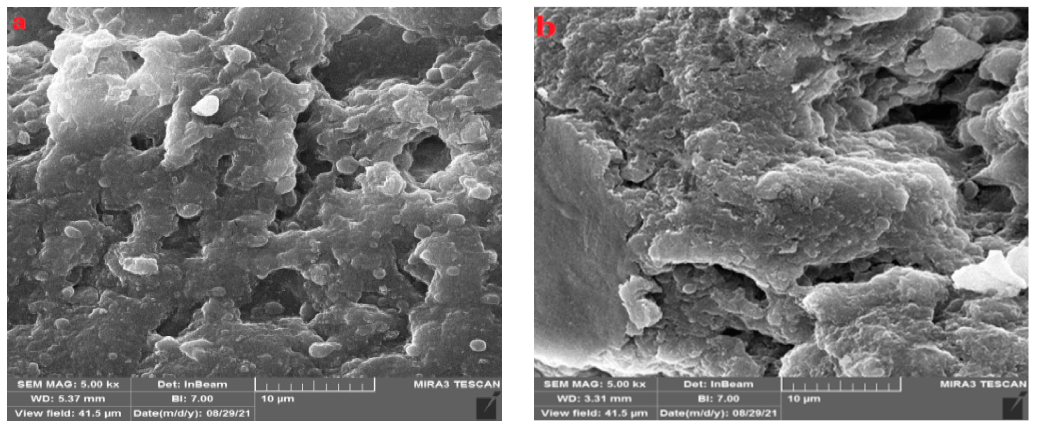 Polymers 15 03545 g010