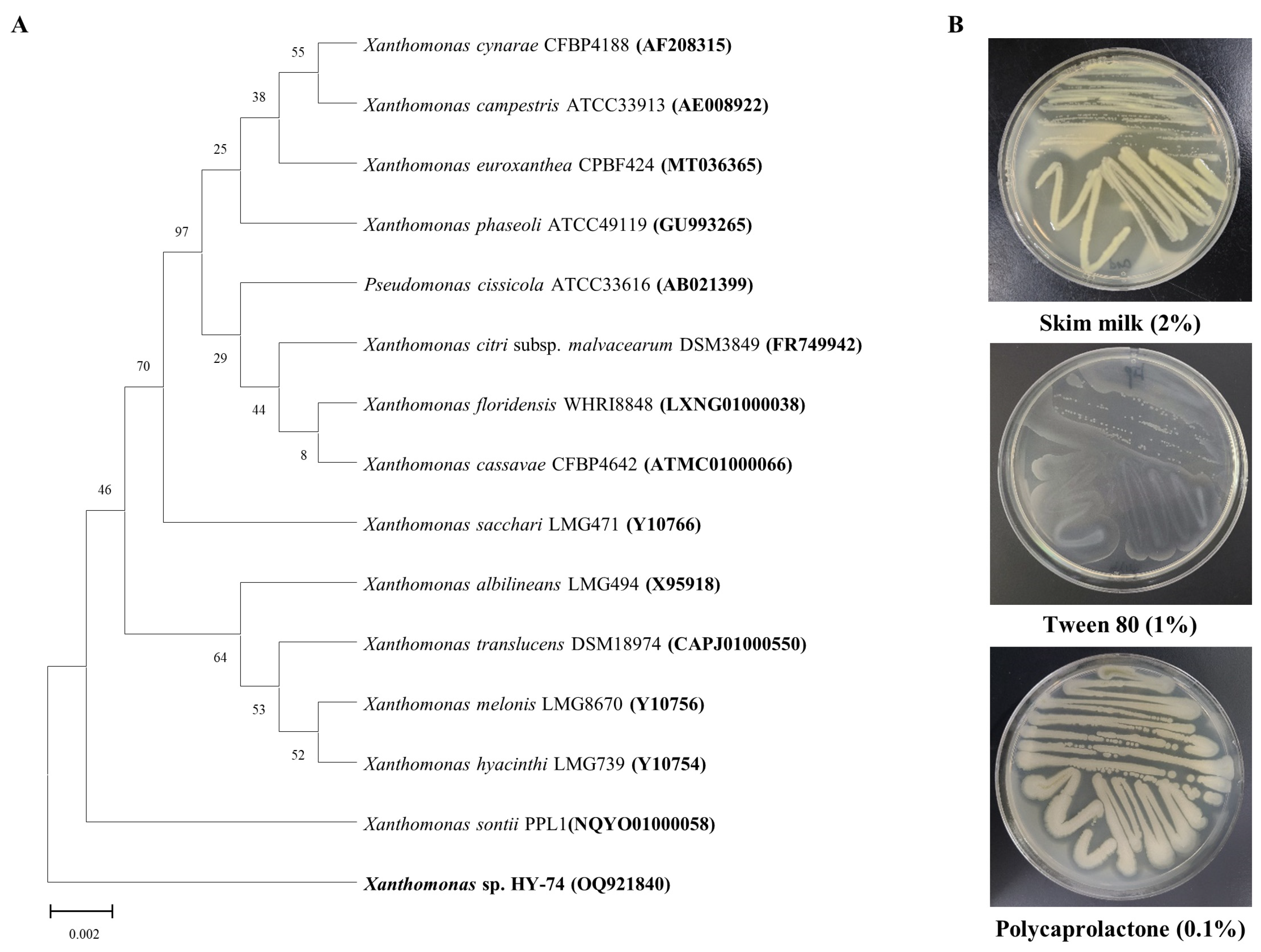 Polymers 15 03546 g001