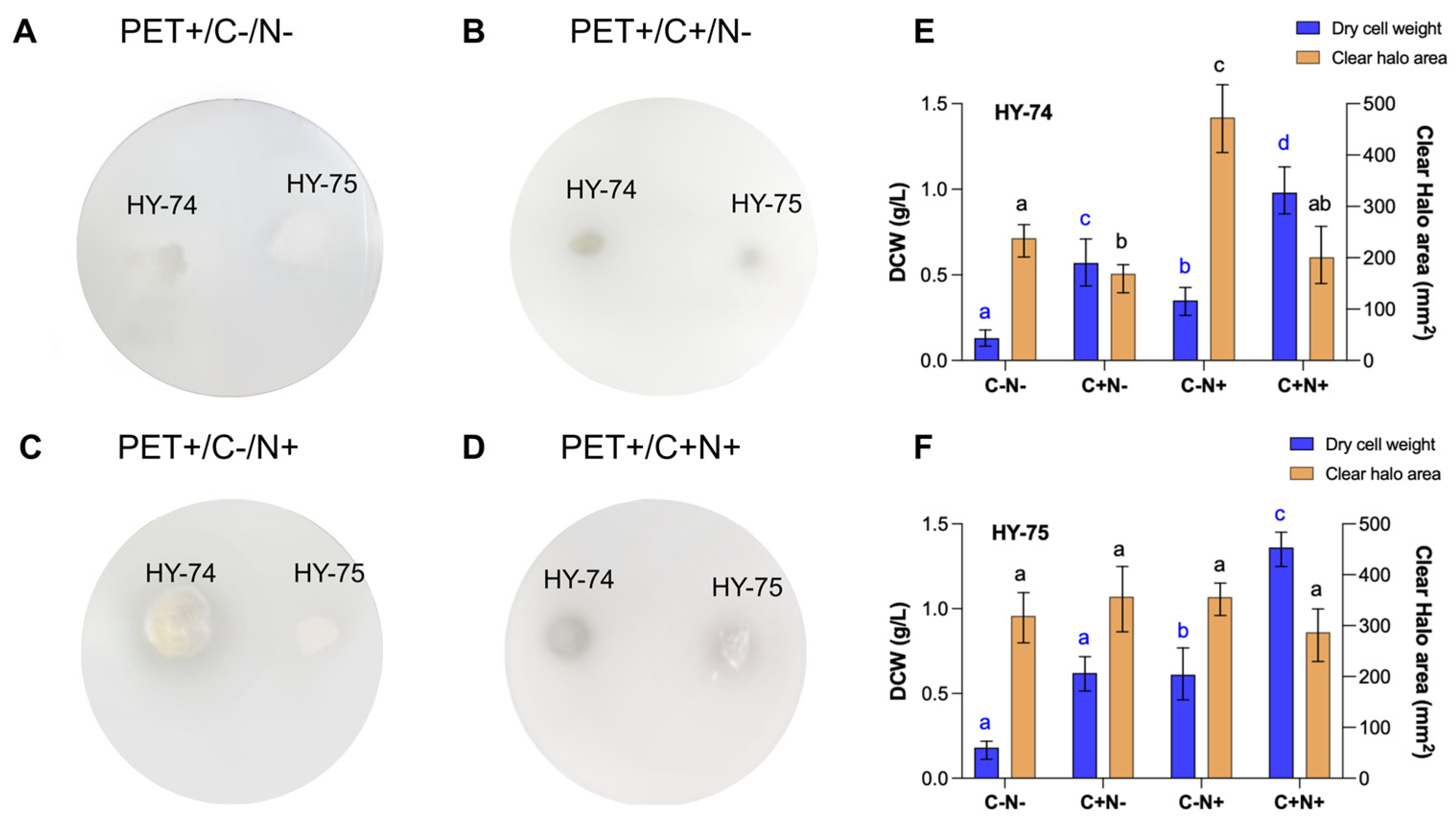 Polymers 15 03546 g003