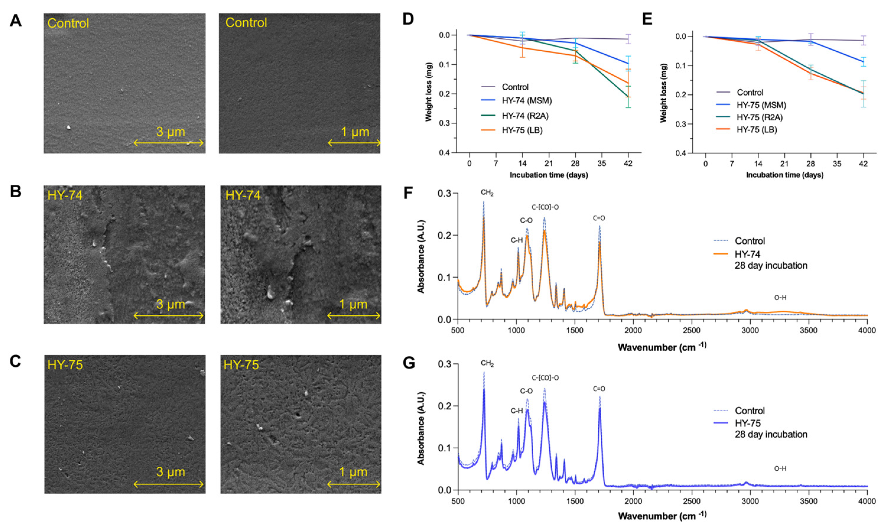 Polymers 15 03546 g004