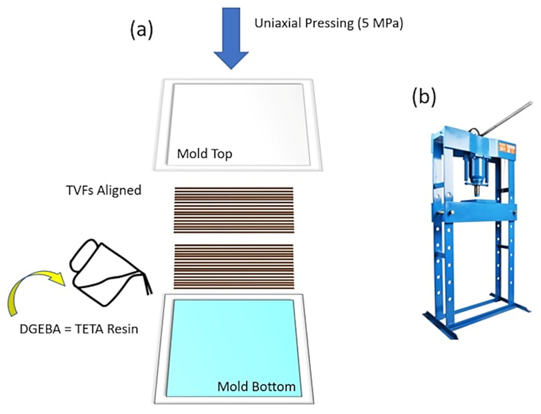 Polymers 15 03550 g002