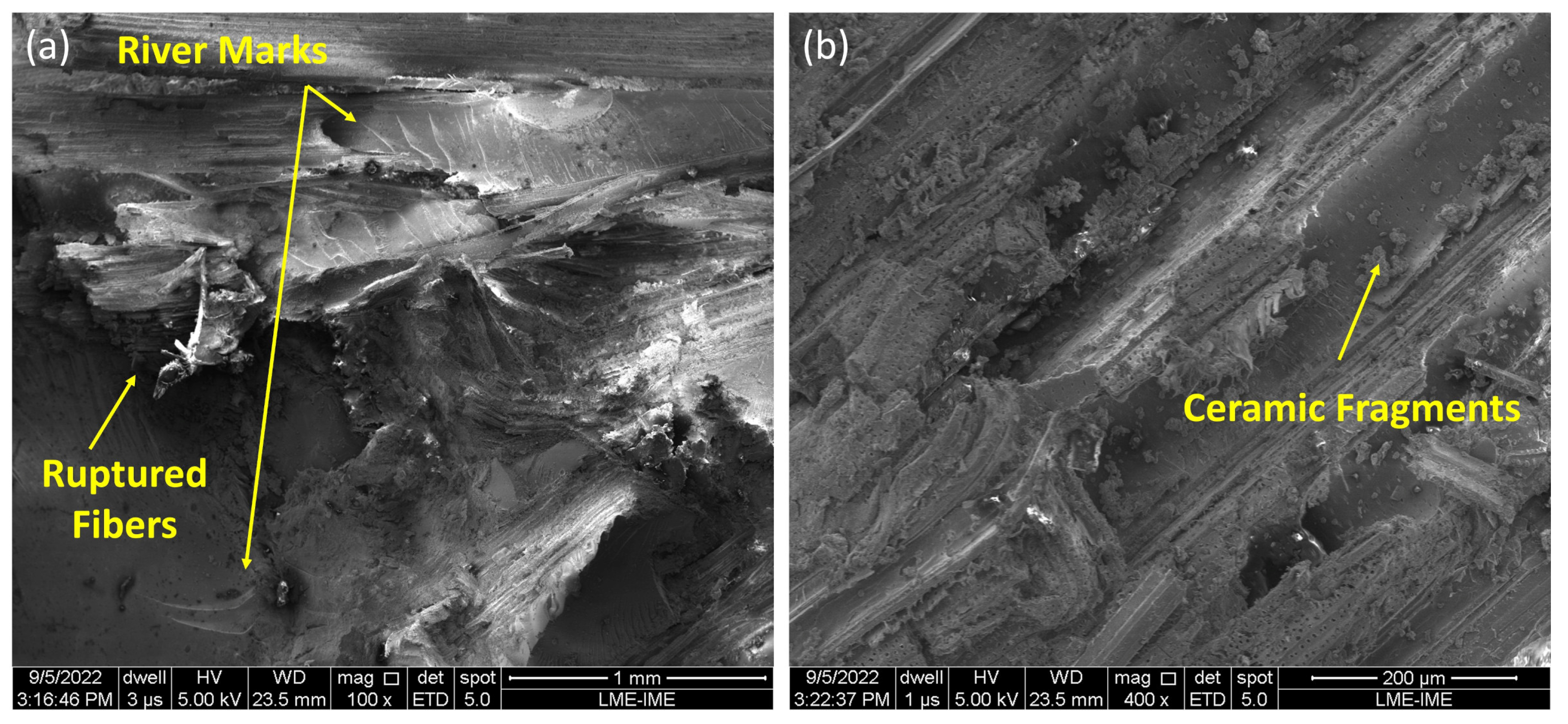 Polymers 15 03550 g007a