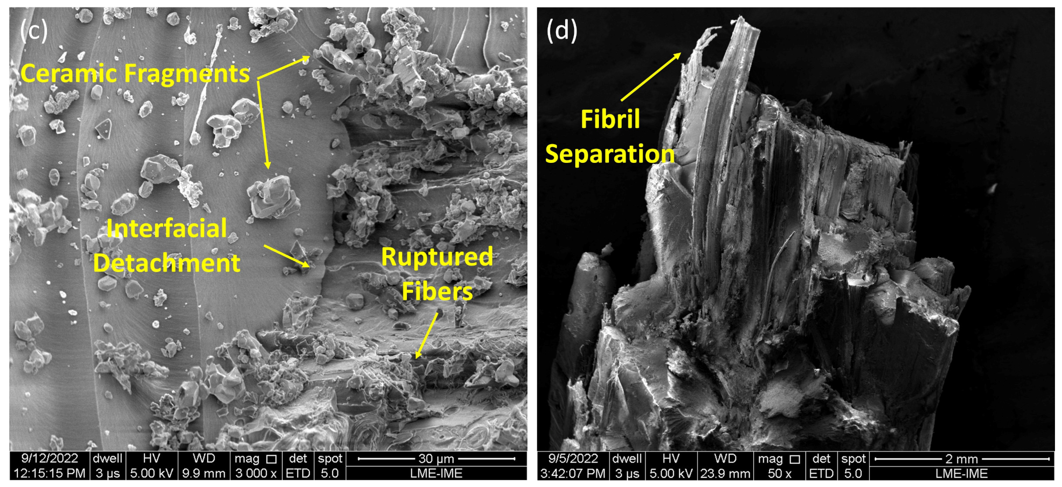 Polymers 15 03550 g007b