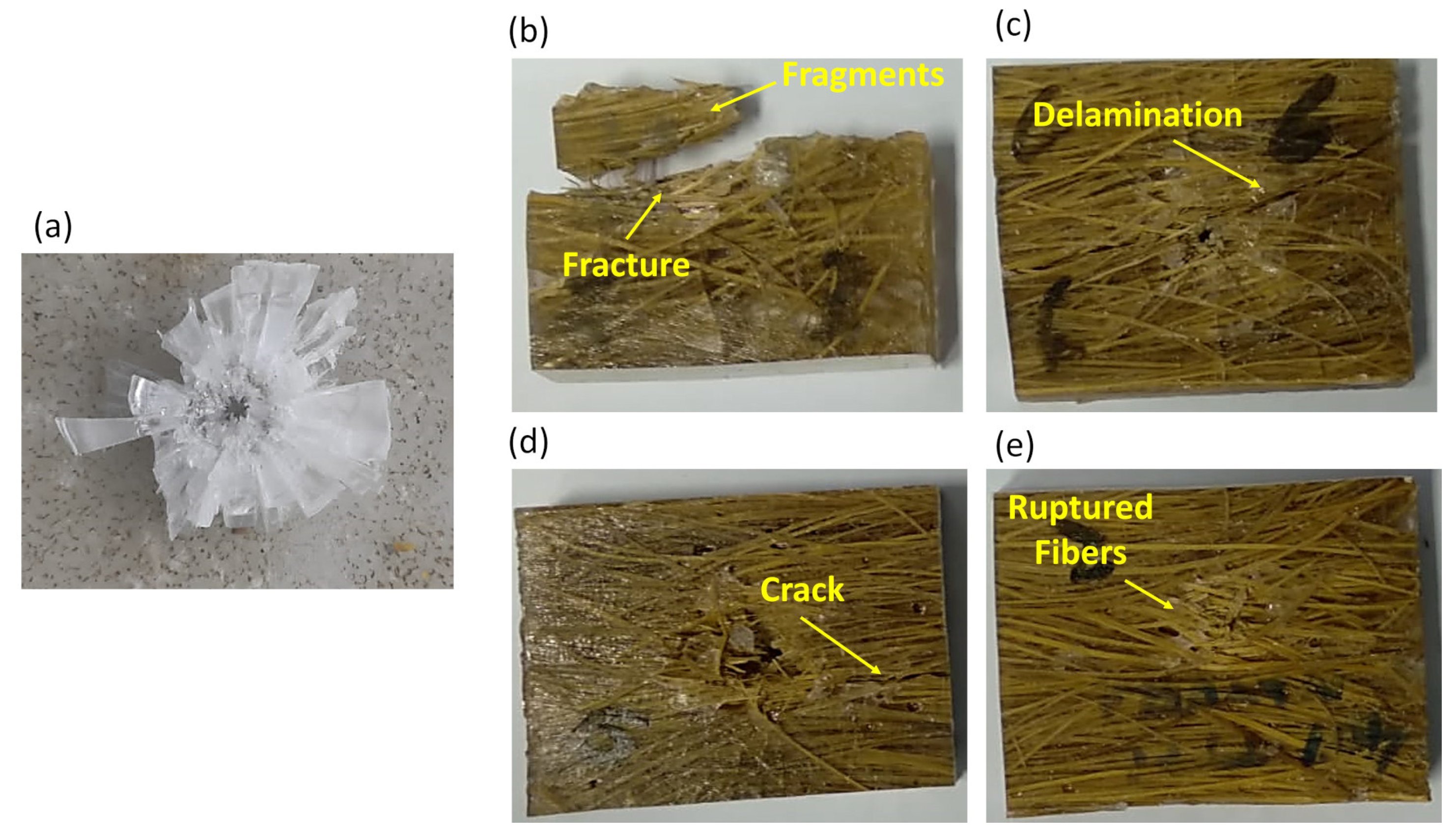 Polymers 15 03550 g008