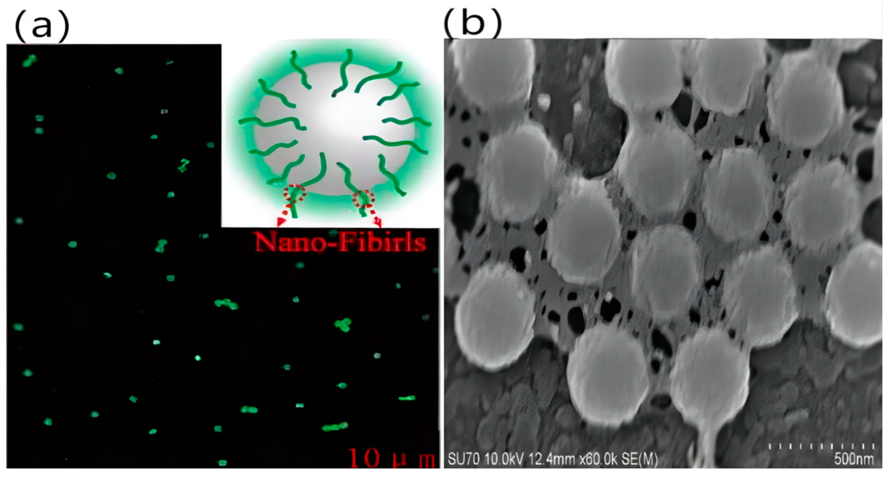 Polymers 15 03551 g007