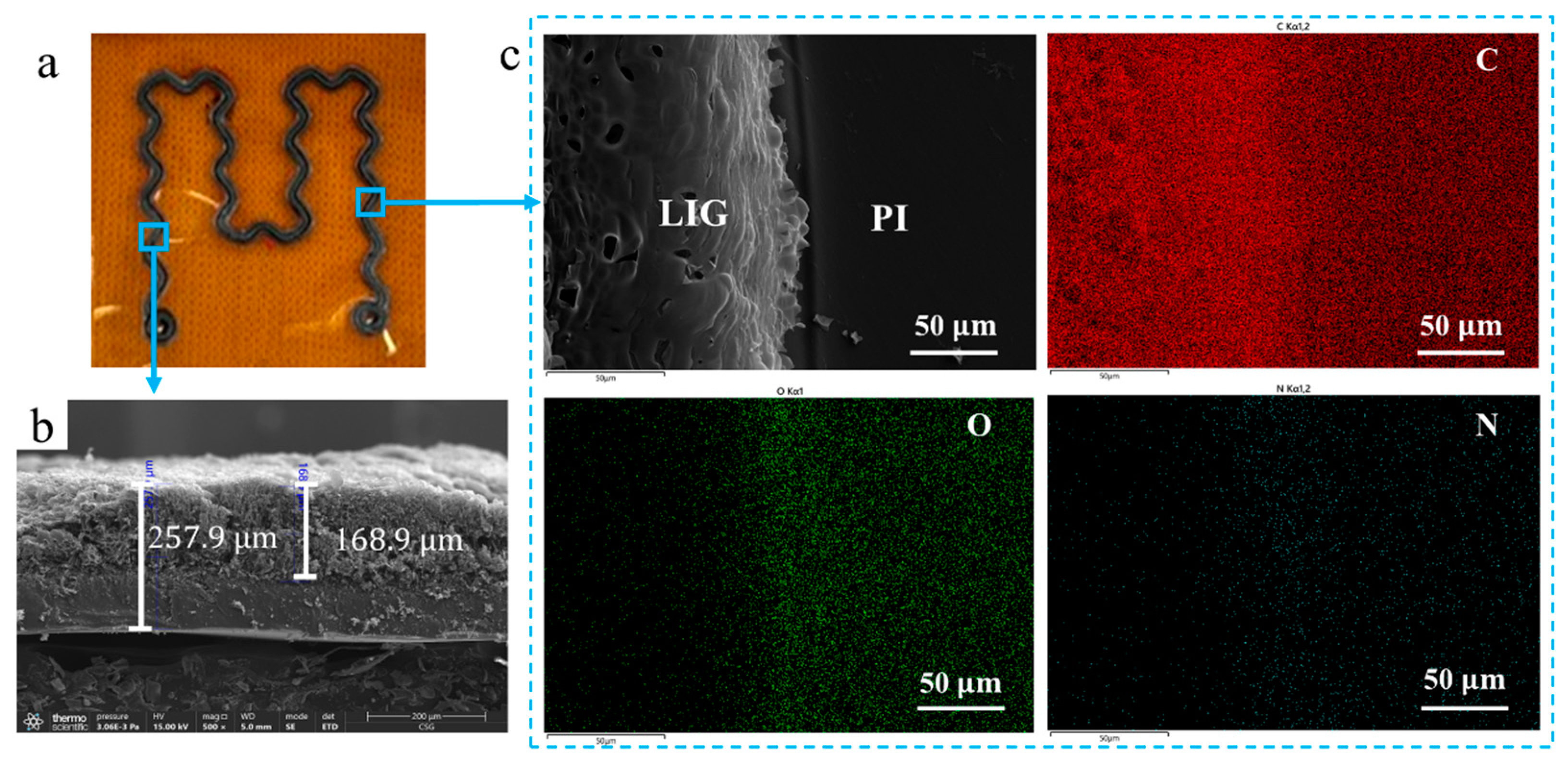 Polymers 15 03553 g004