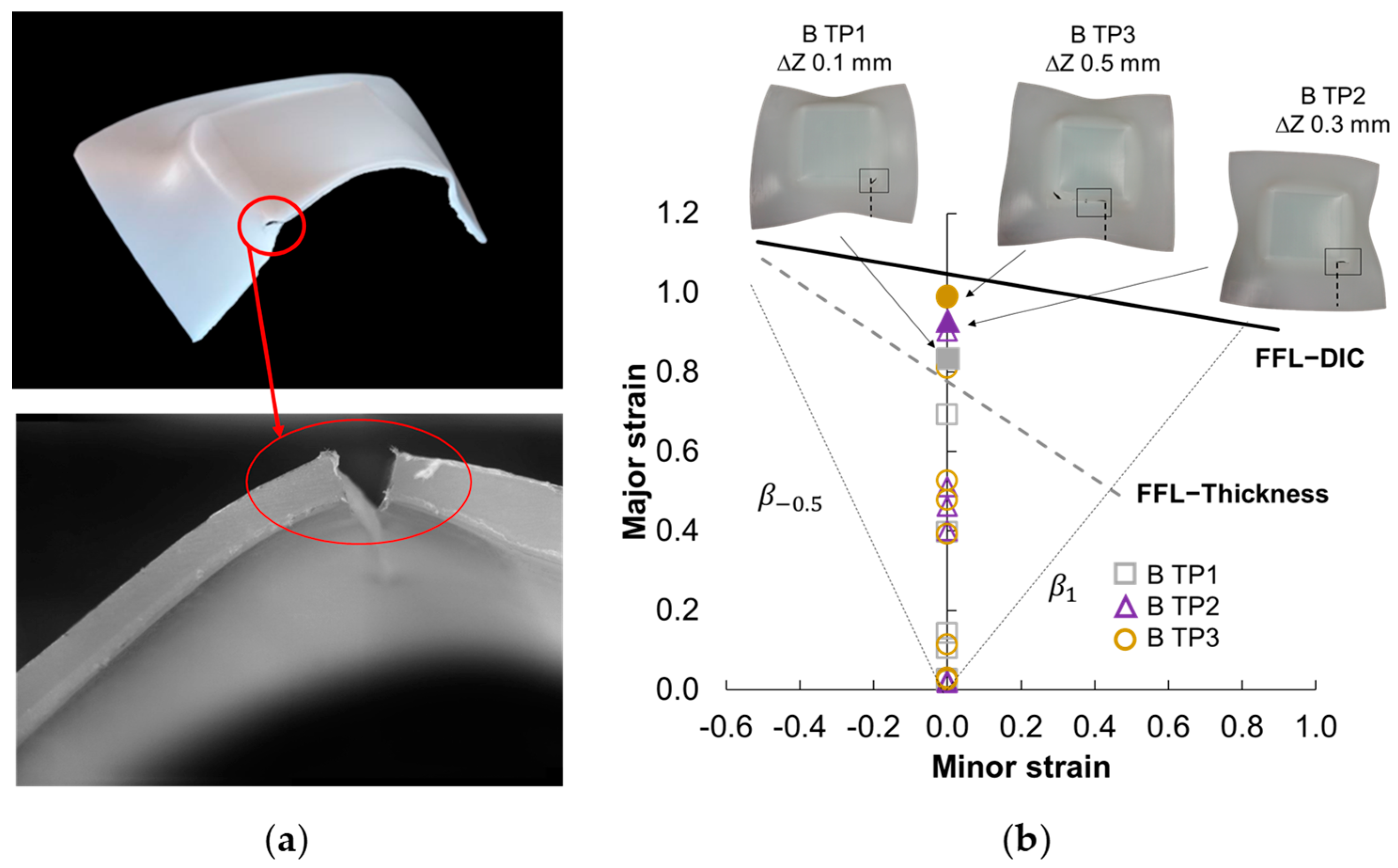 Polymers 15 03560 g009