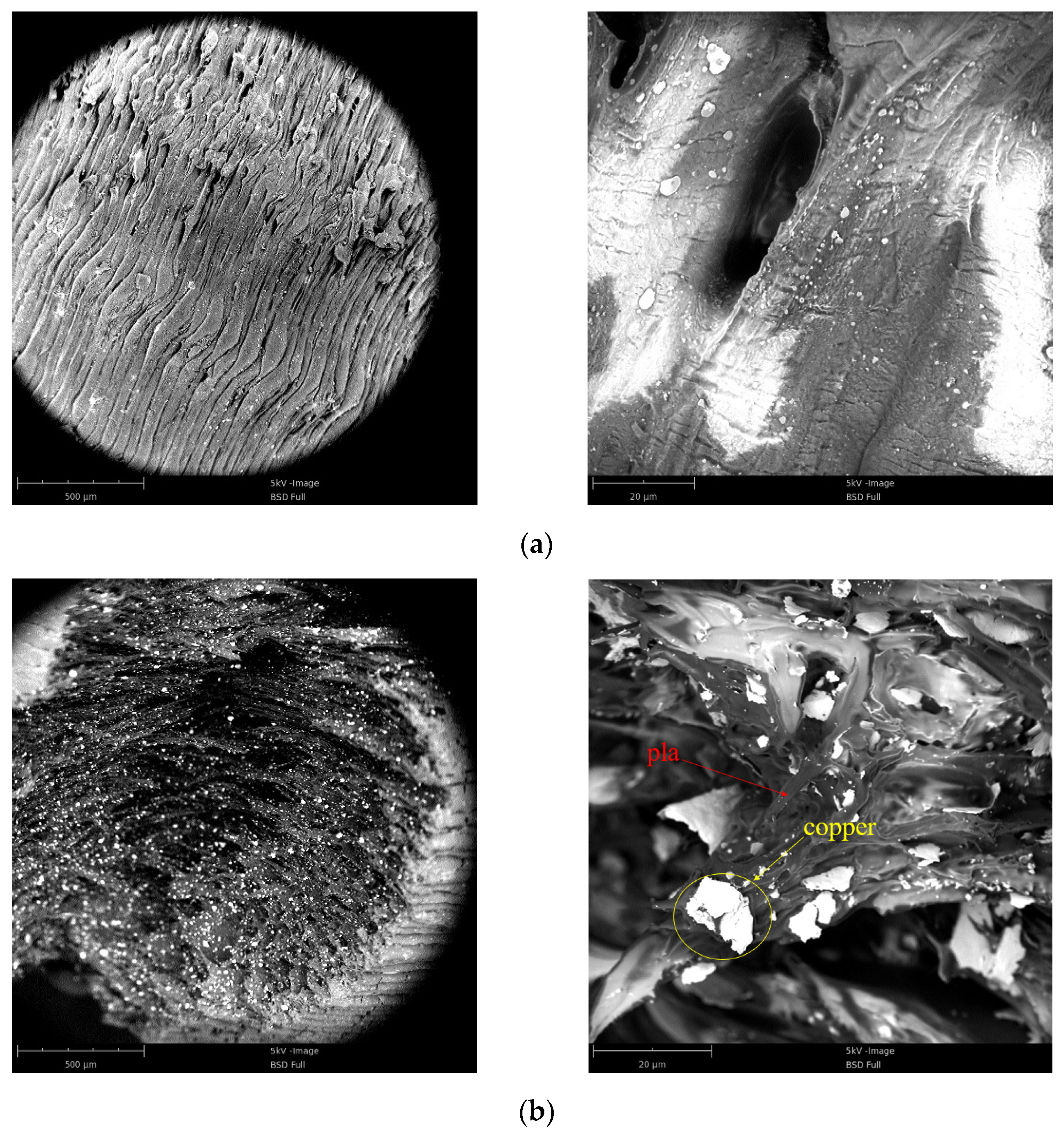 Polymers 15 03564 g003