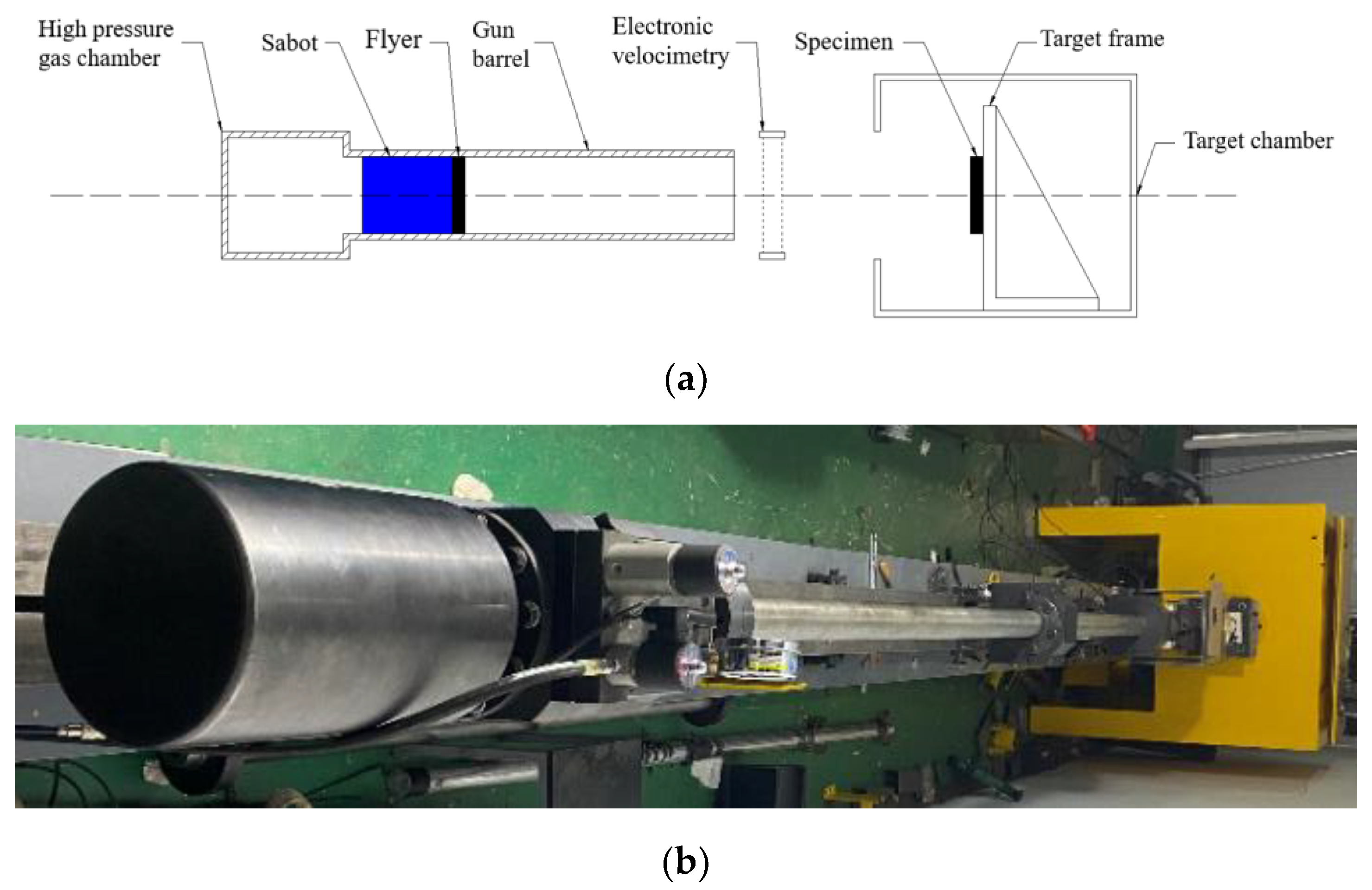 Polymers 15 03564 g004