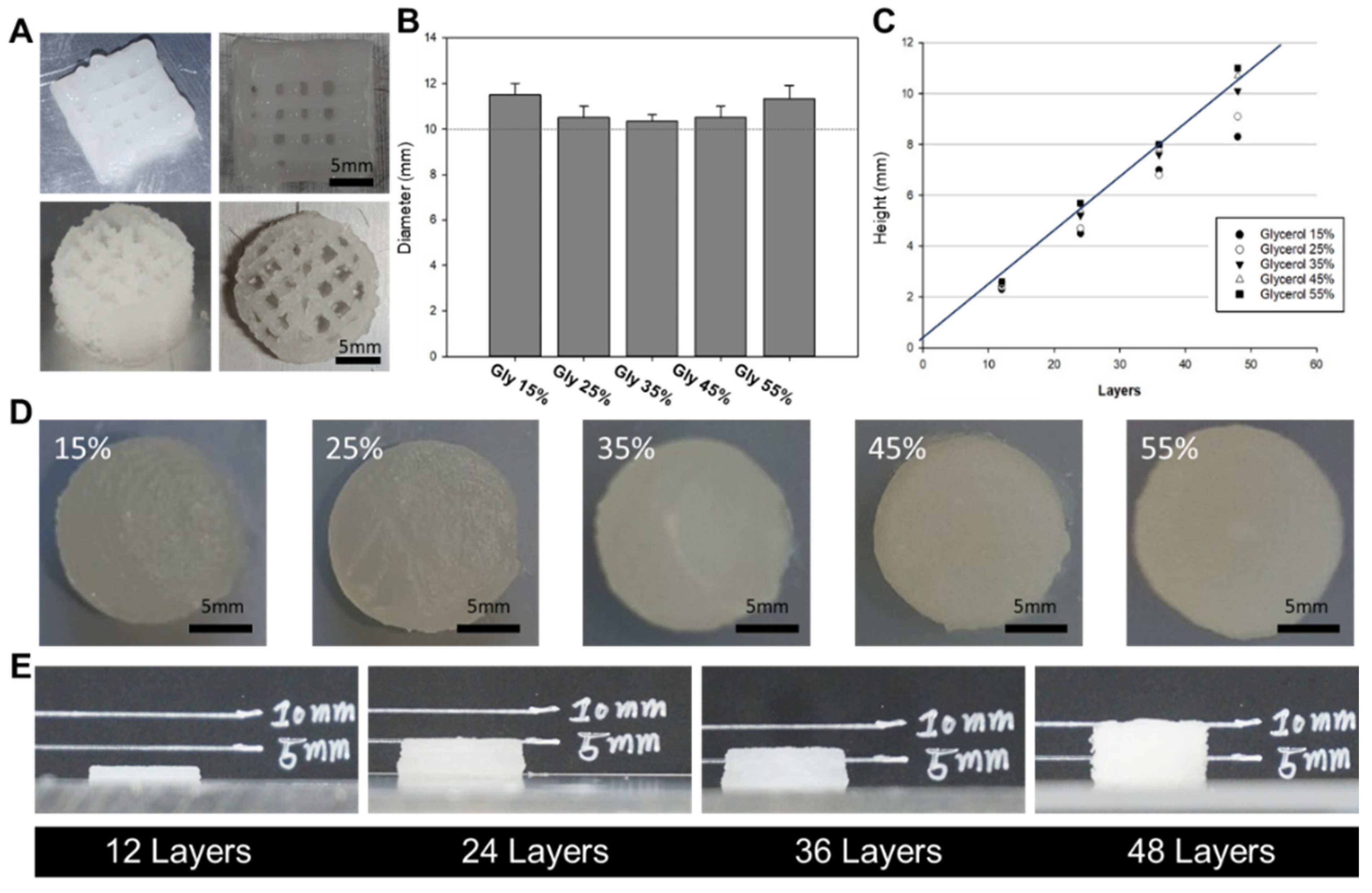 Polymers 15 03567 g004