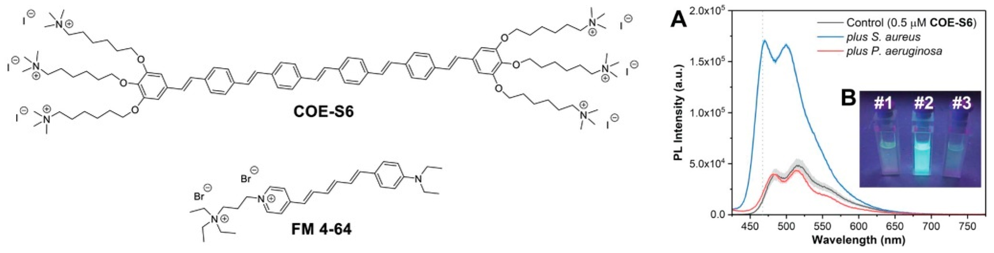 Polymers 15 03570 g002