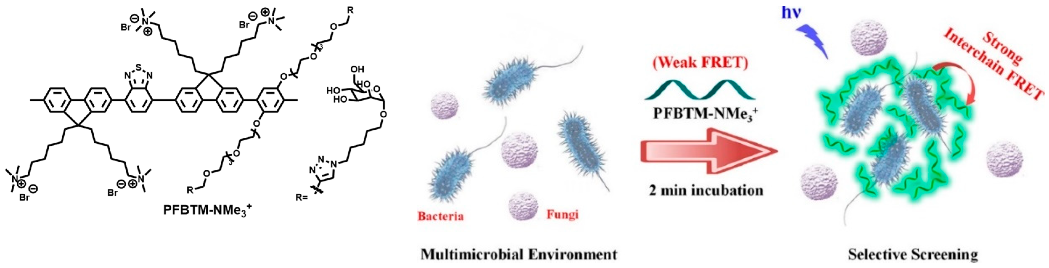 Polymers 15 03570 g003