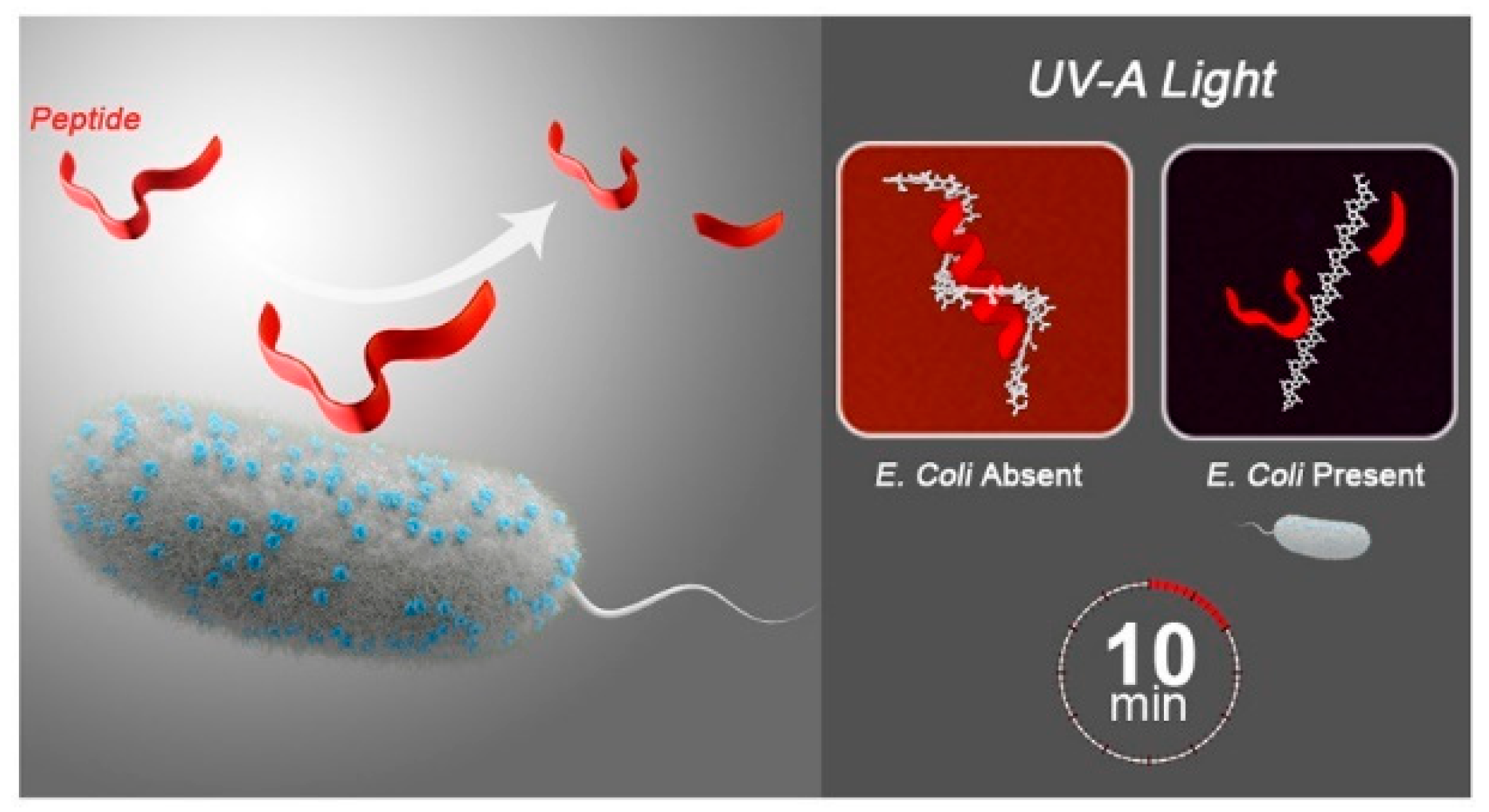 Polymers 15 03570 g007