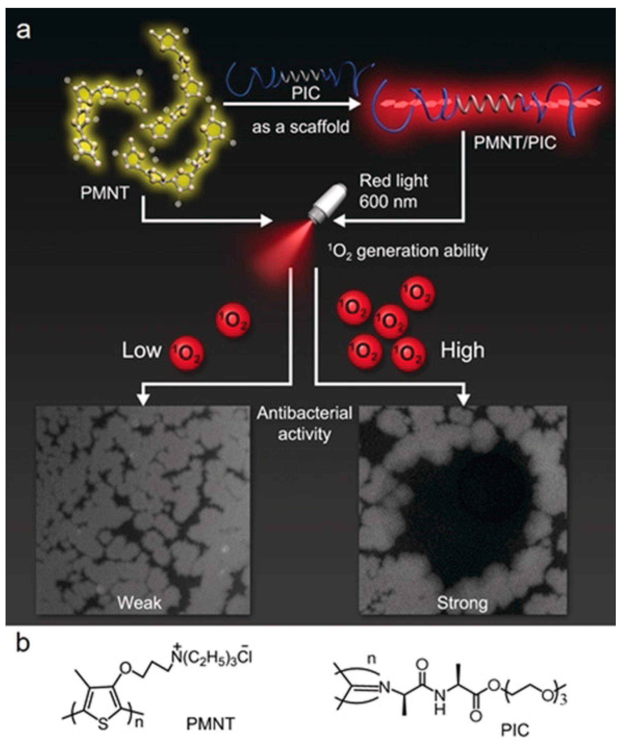Polymers 15 03570 g008