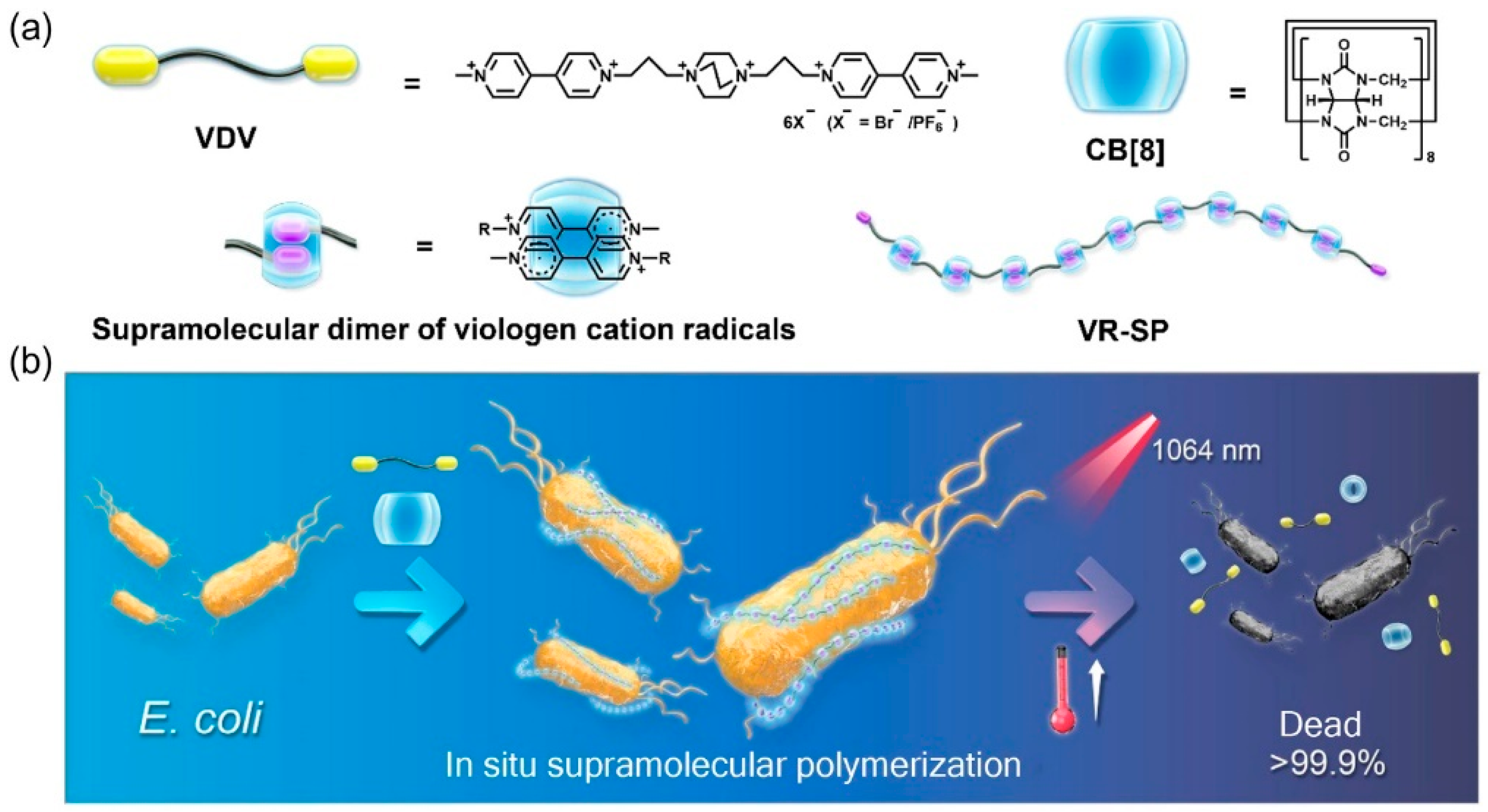 Polymers 15 03570 g011