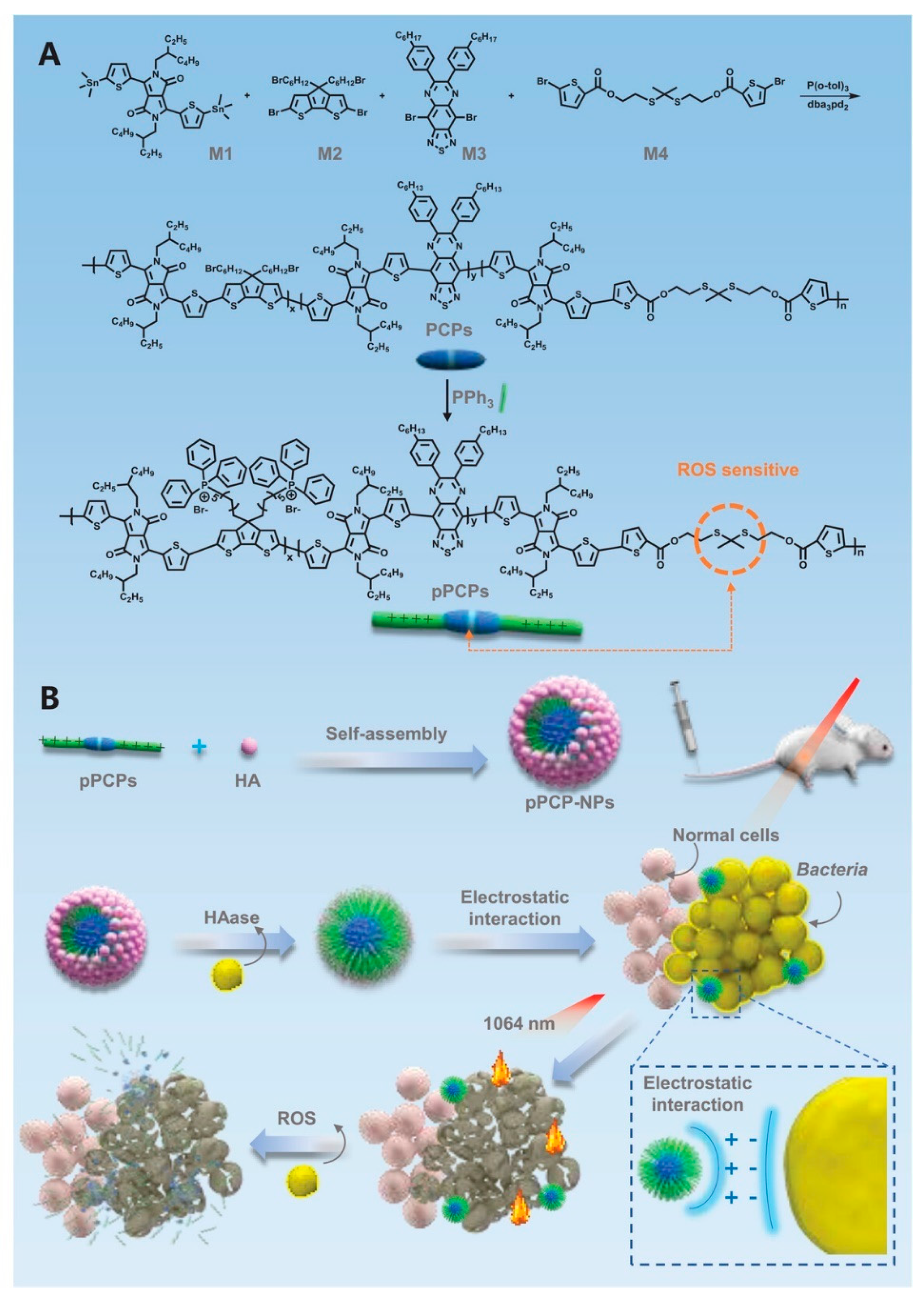 Polymers 15 03570 g013