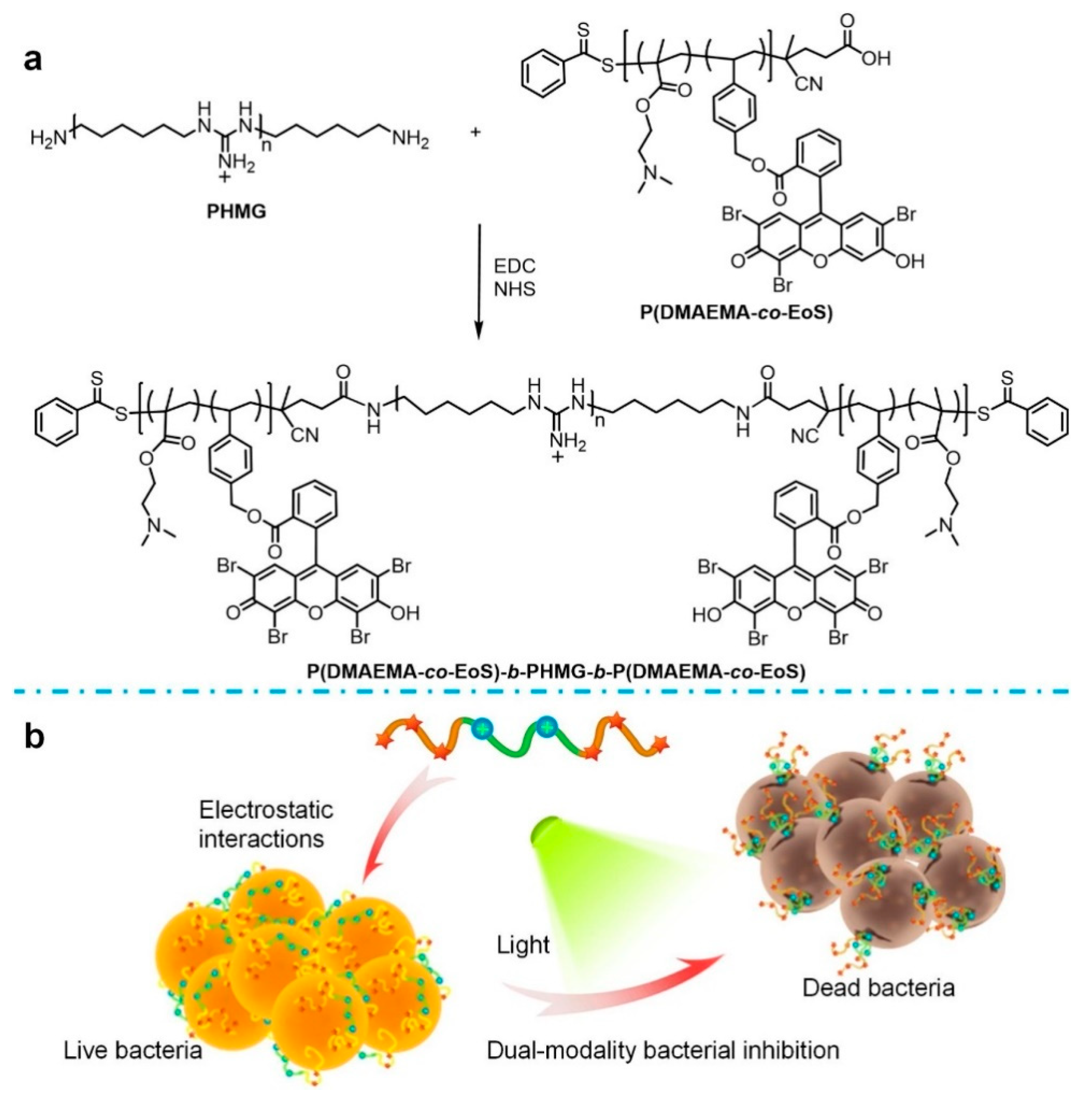 Polymers 15 03570 g014