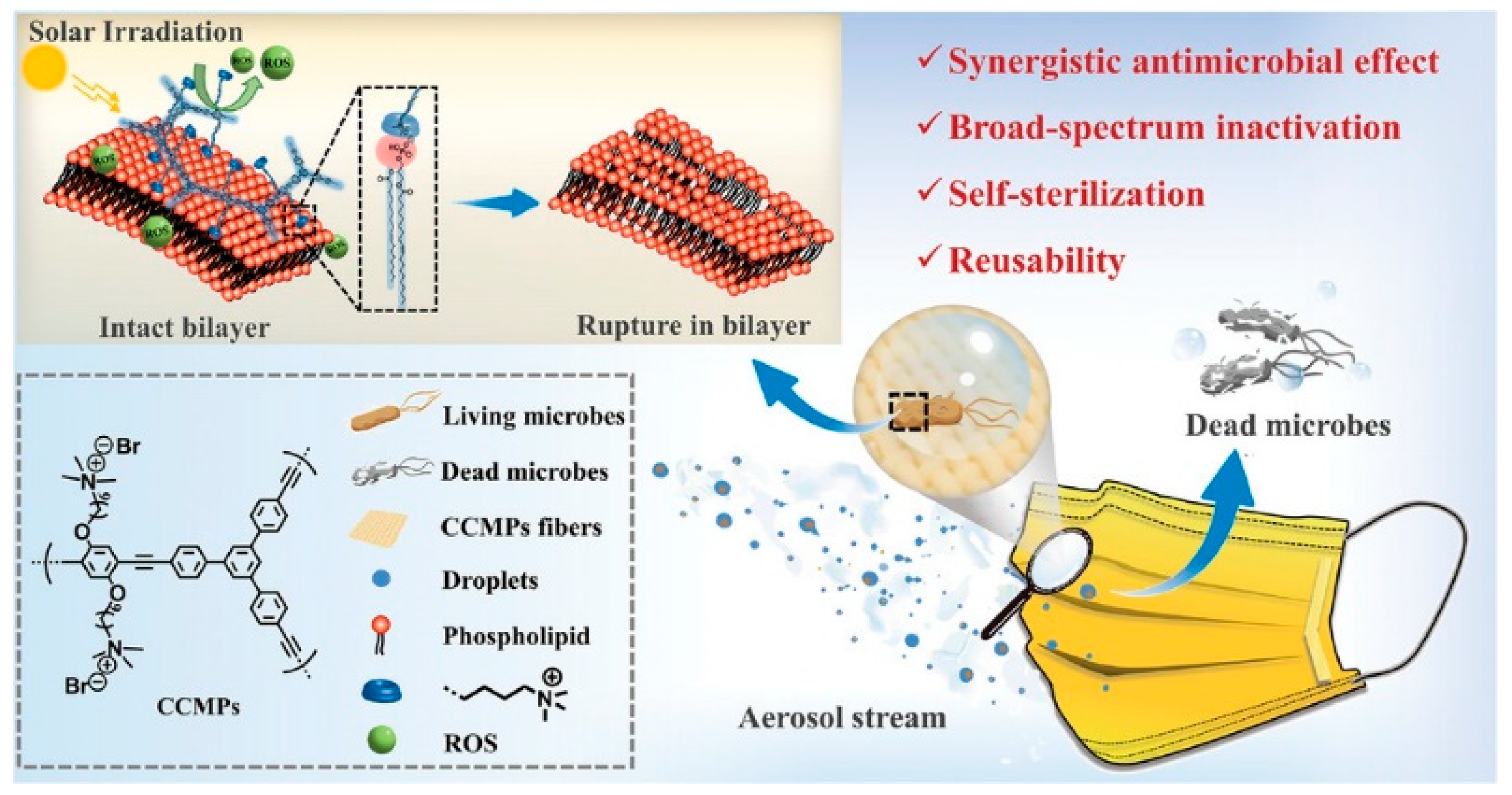 Polymers 15 03570 g016