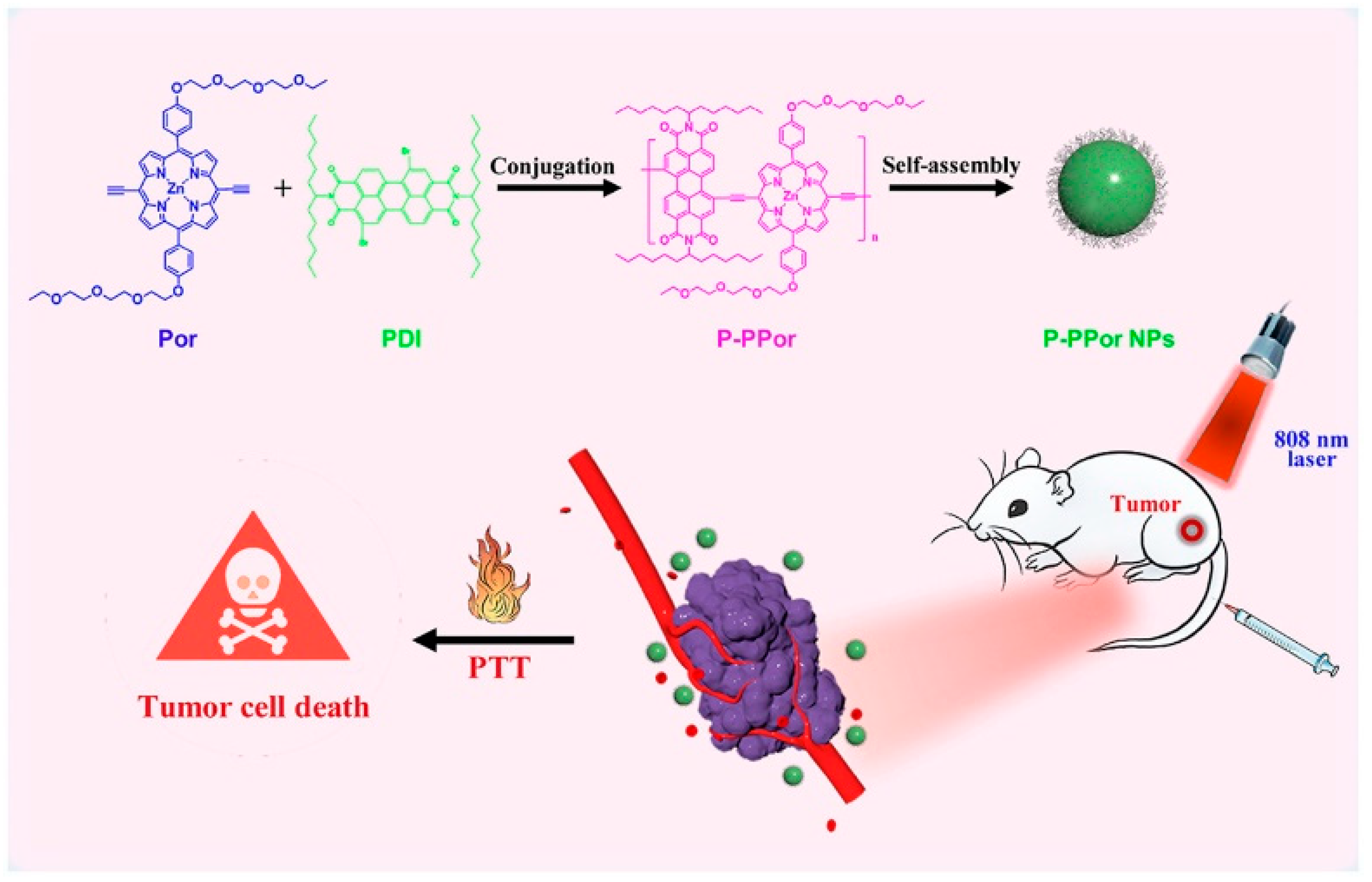 Polymers 15 03570 g021