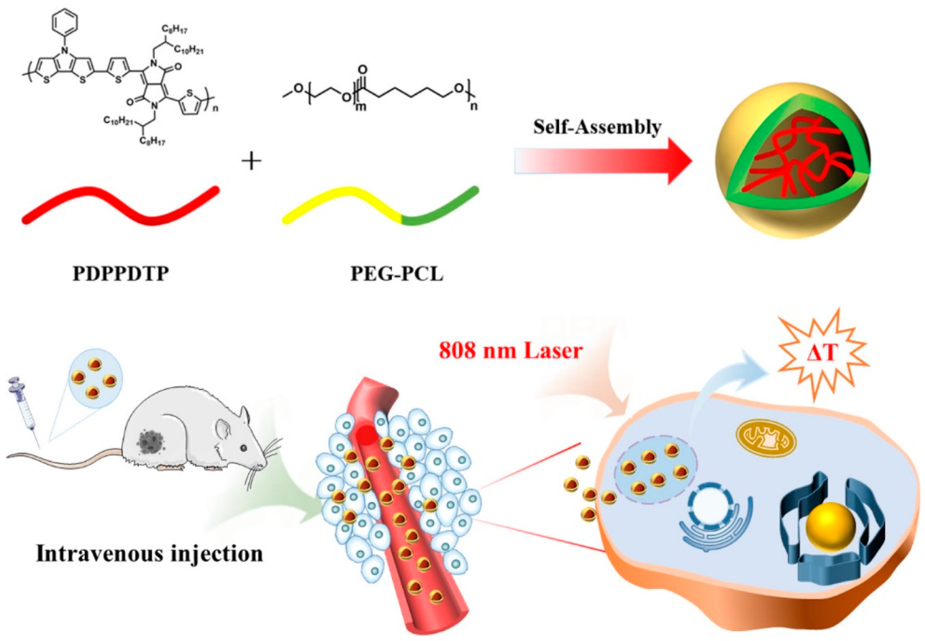 Polymers 15 03570 g022
