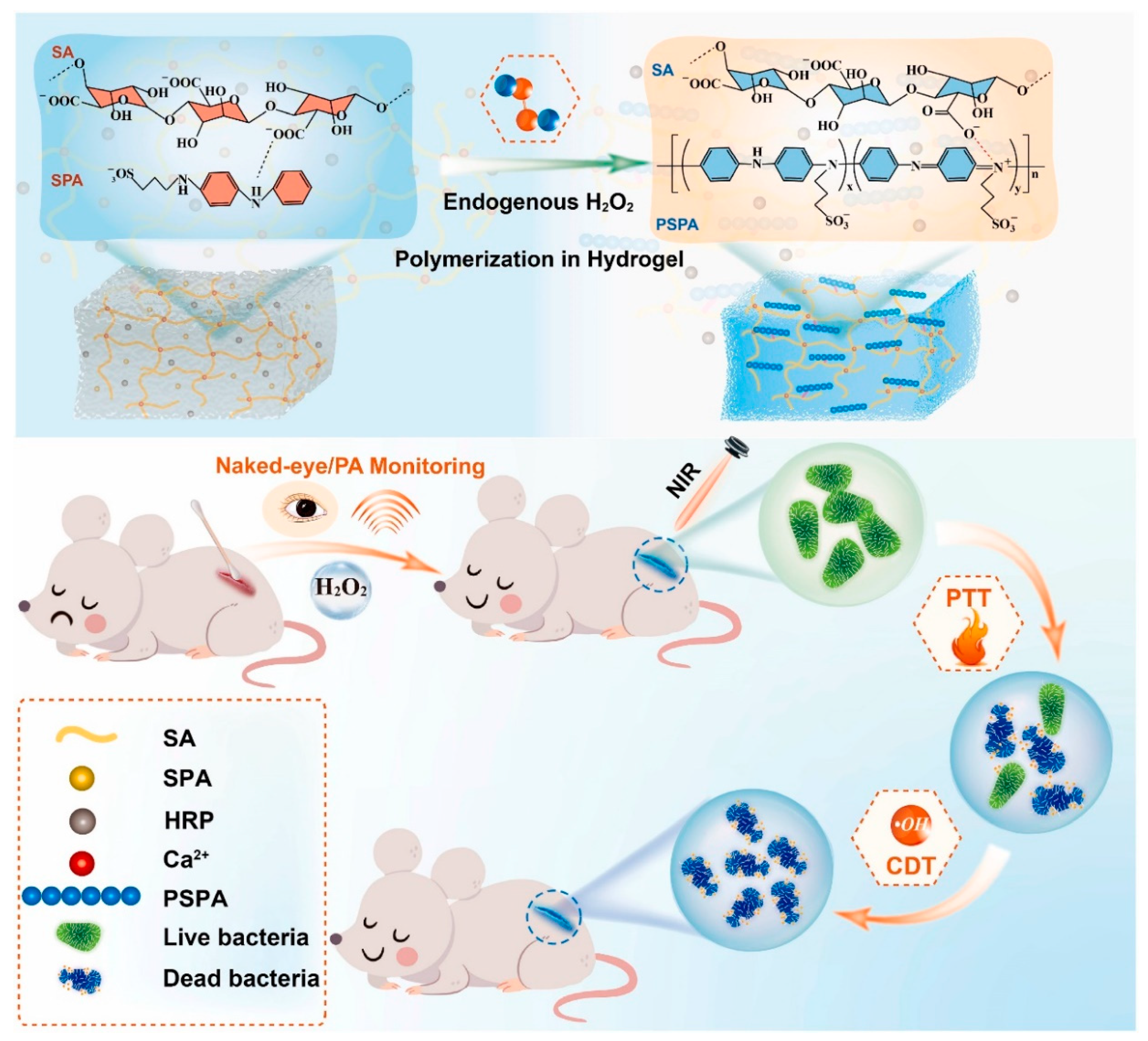 Polymers 15 03570 g028