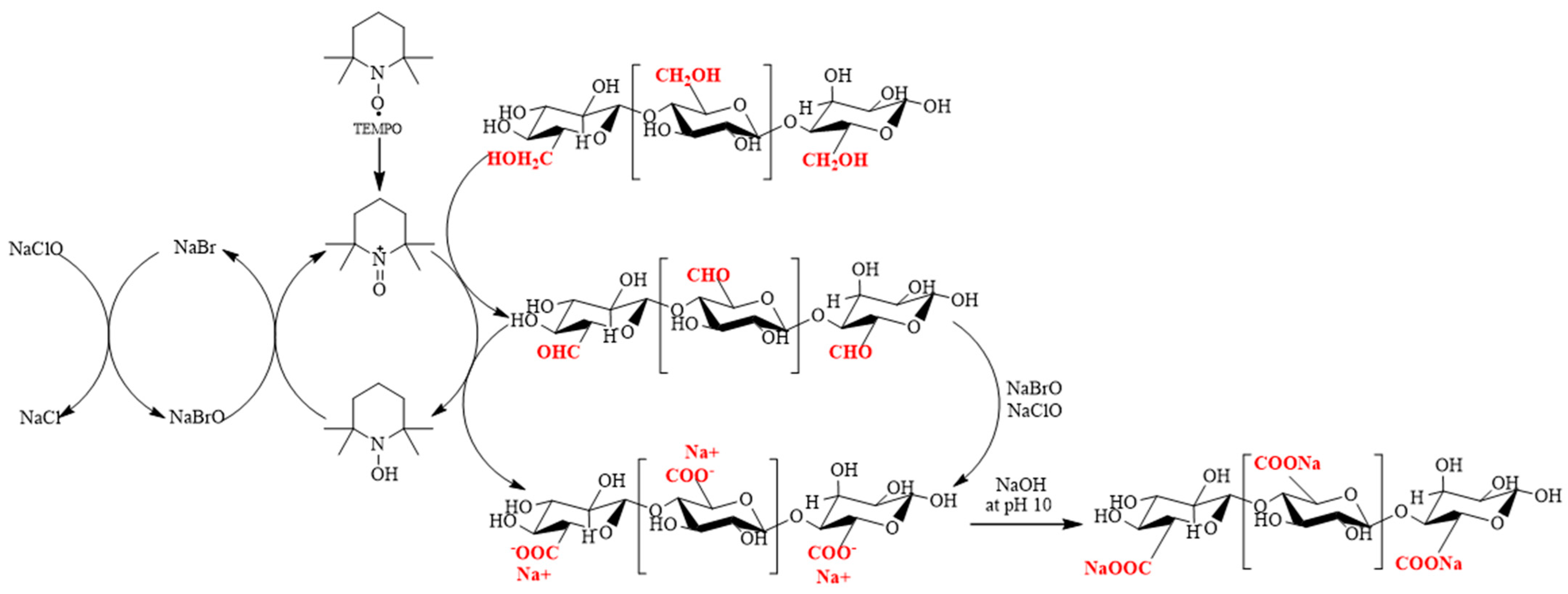 Polymers 15 03572 g002