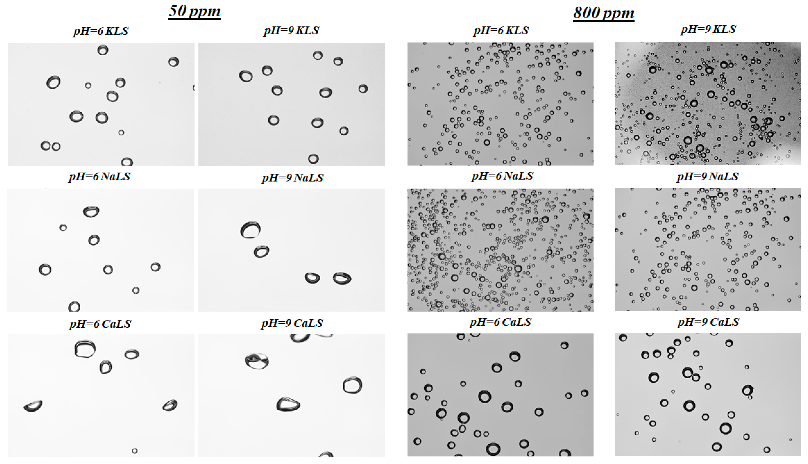 Polymers 15 03575 g010