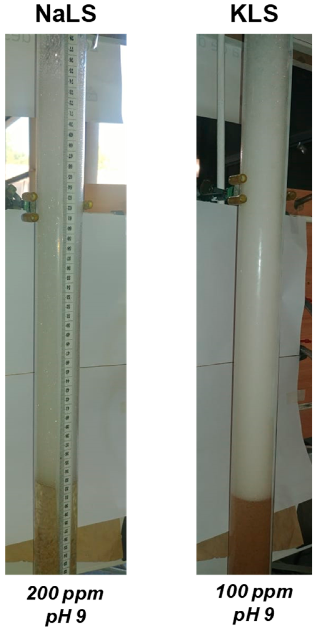 Polymers 15 03575 g013